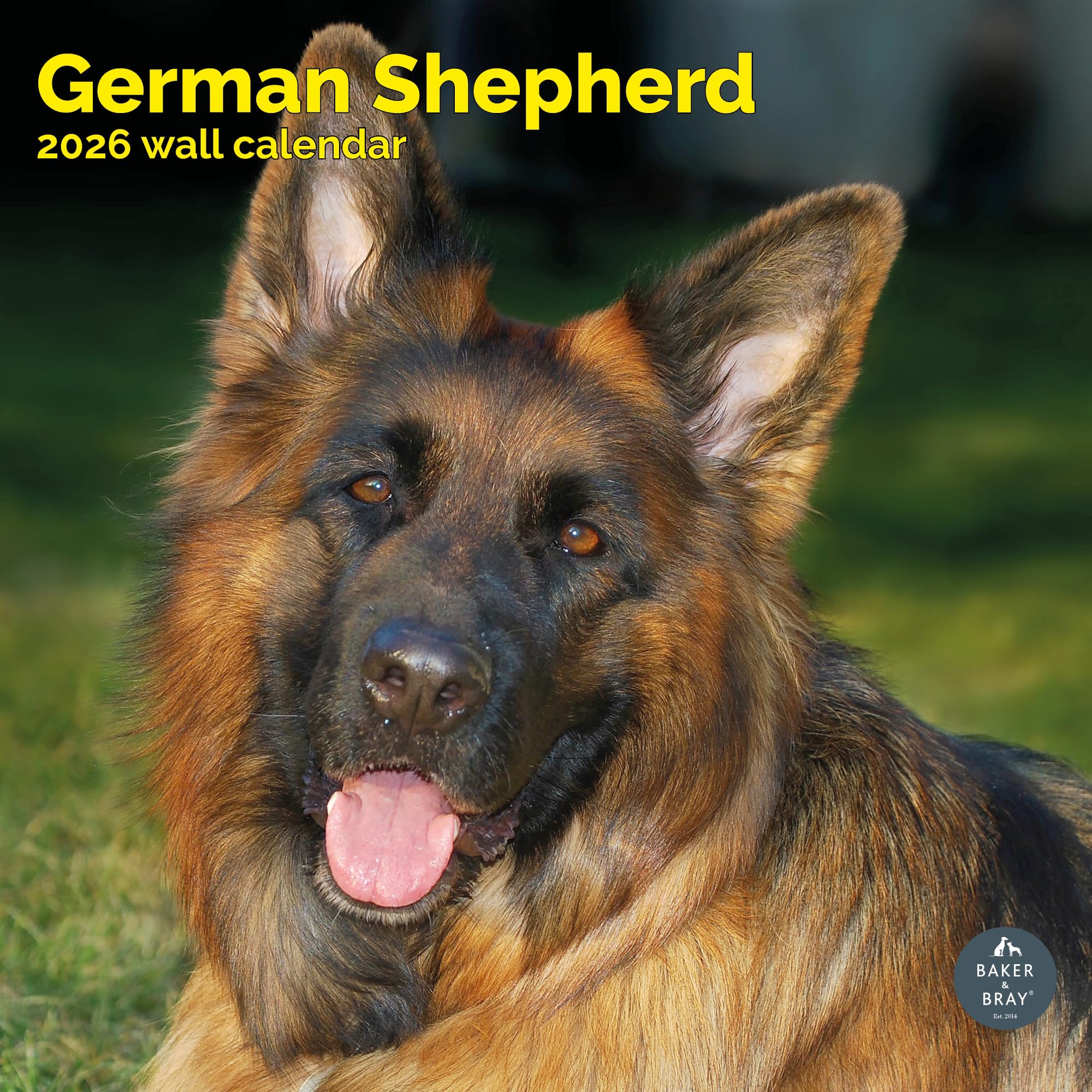 German Shepherd Calendar 2026