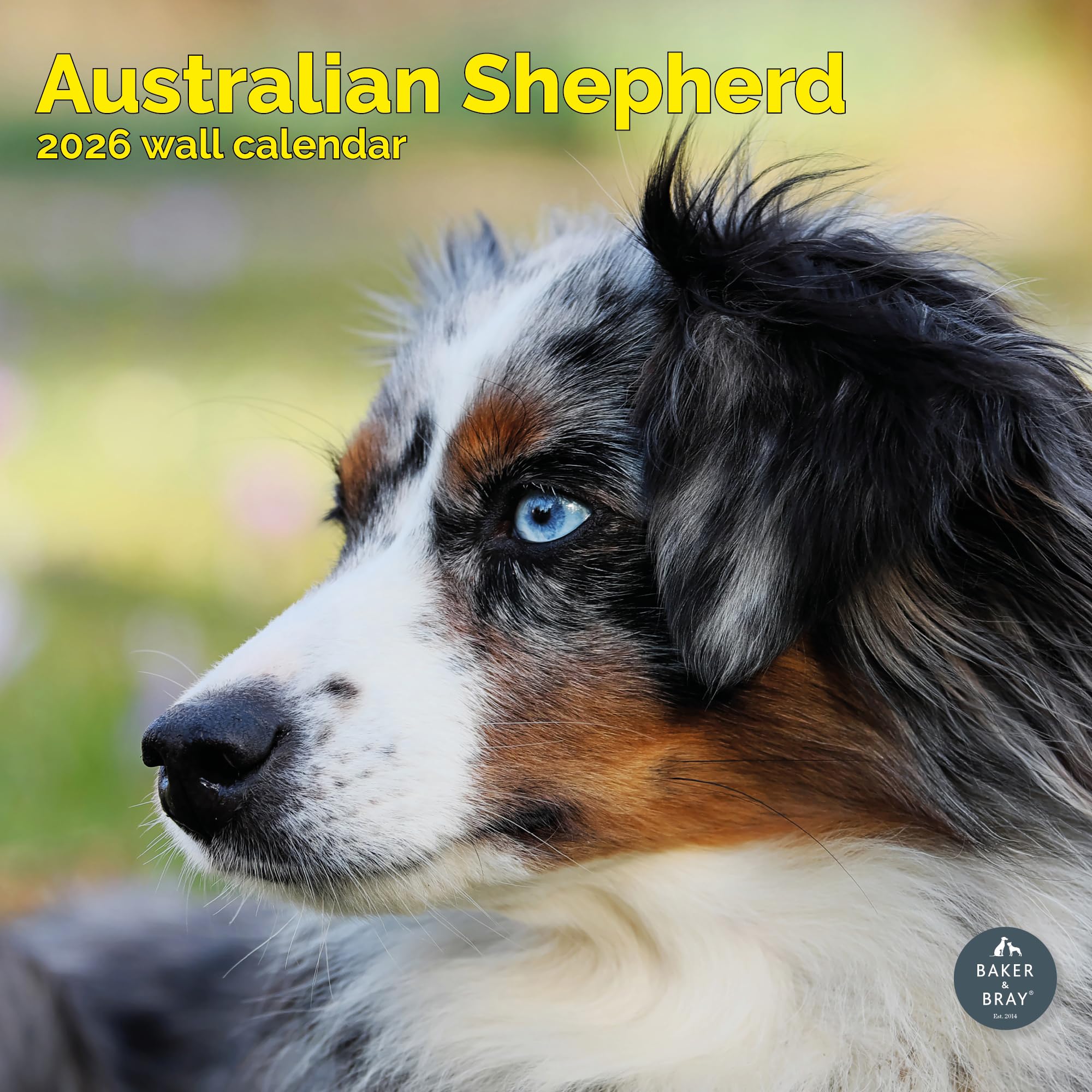 Australian Shepherd Calendar 2026