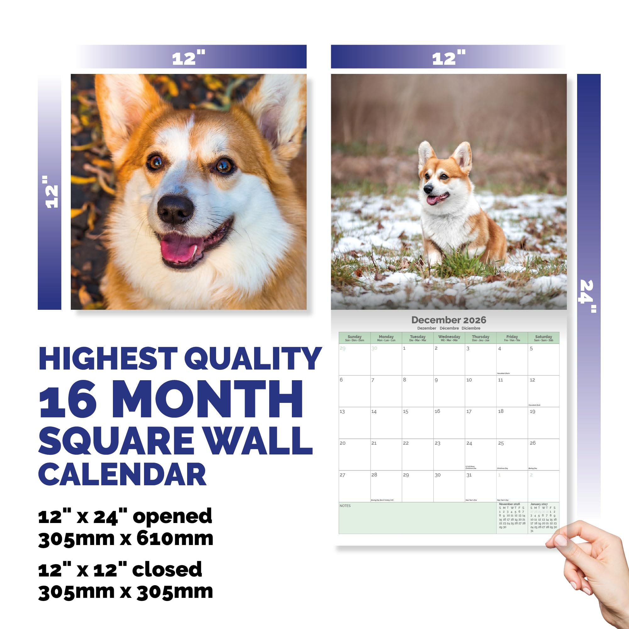 Corgi Calendar 2026