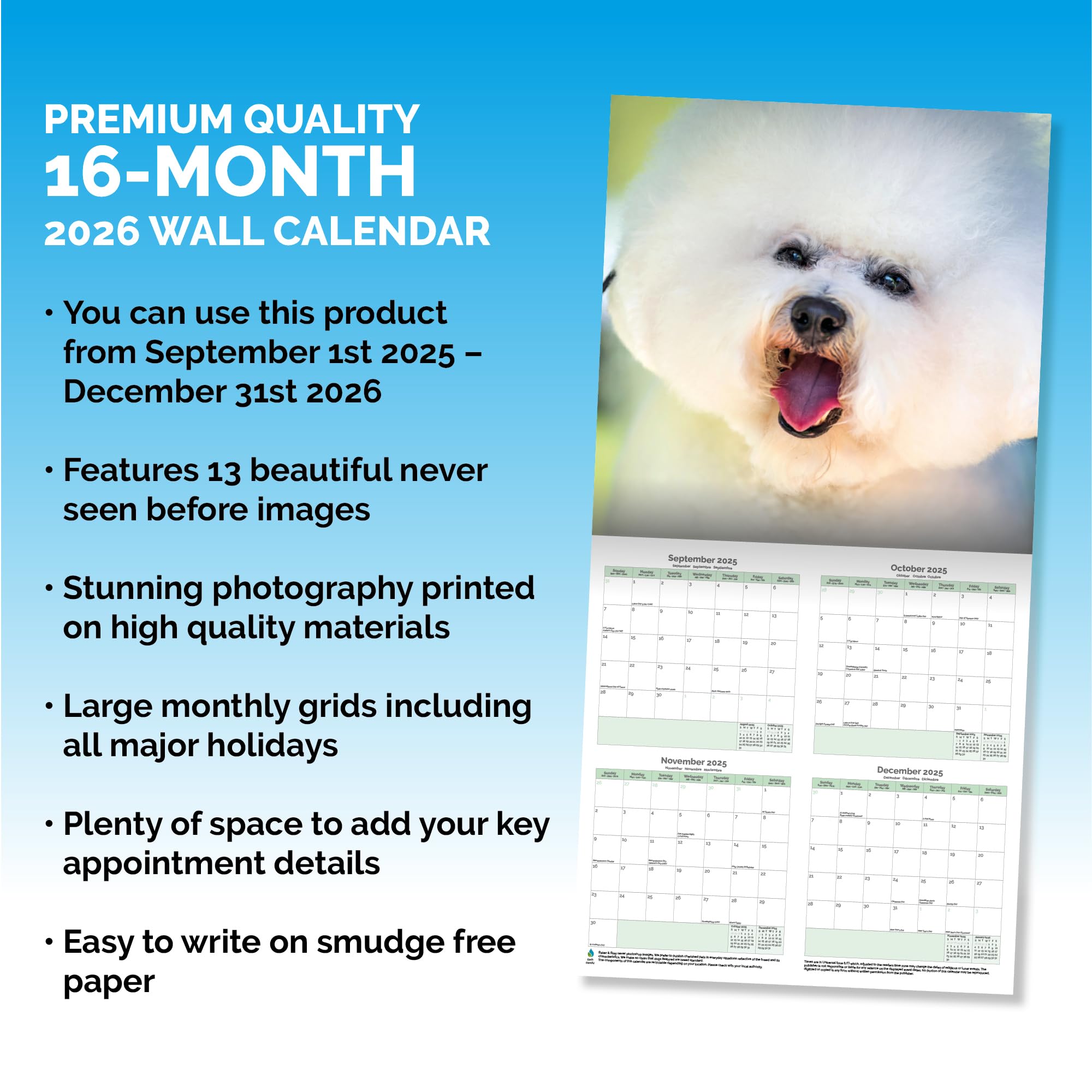 Bichon Frise Calendar 2026