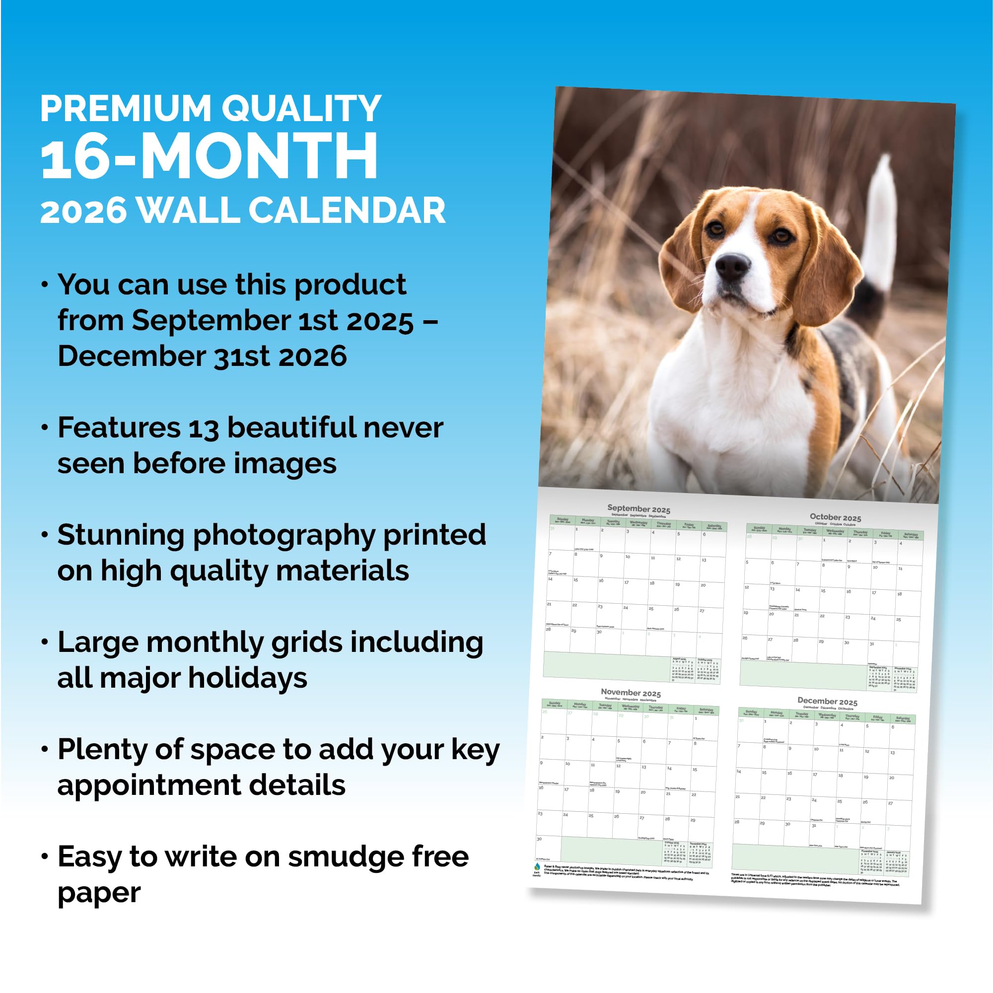 Beagle Calendar 2026