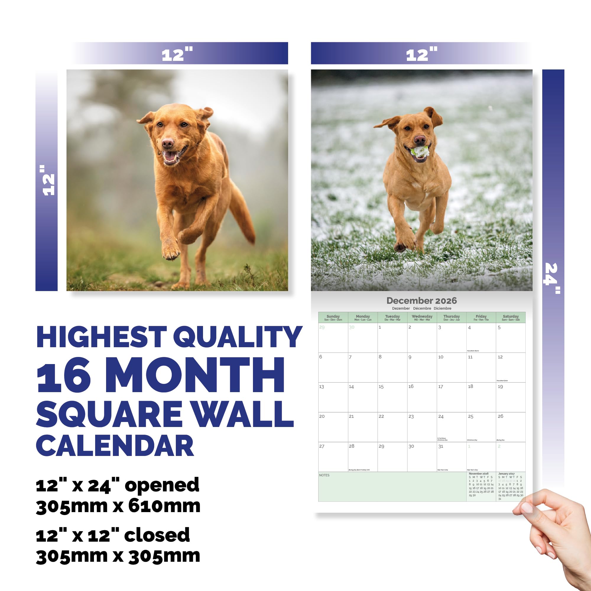 Fox Red Labrador Calendar 2026