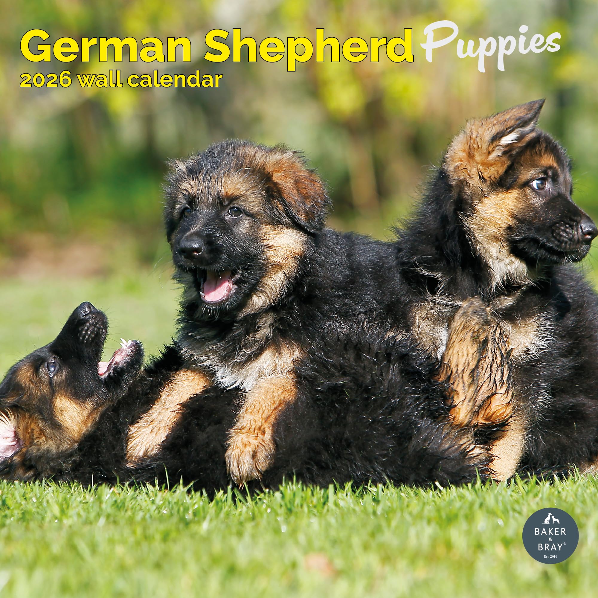 German Shepherd Puppies Calendar 2026