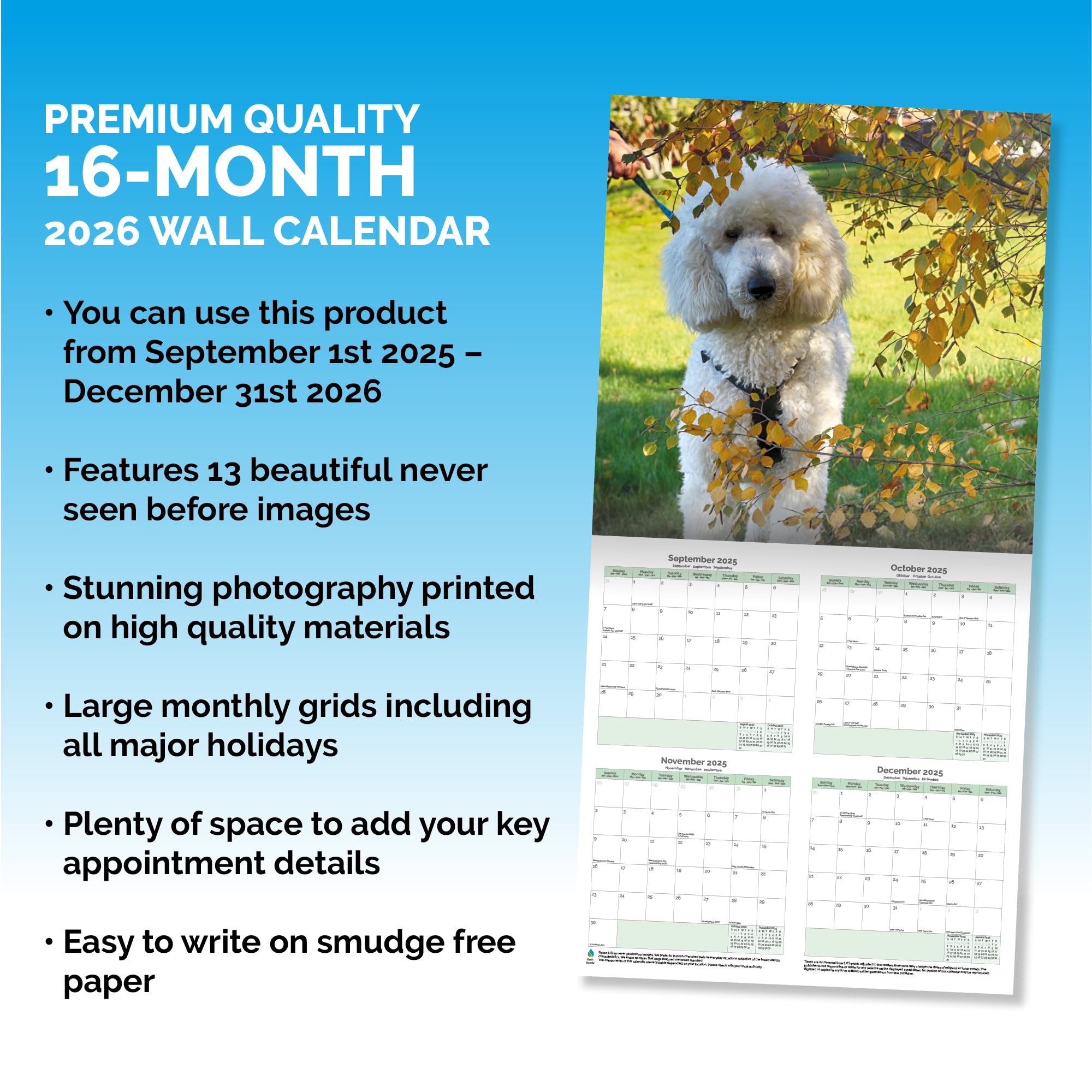 Poodle Calendar 2026