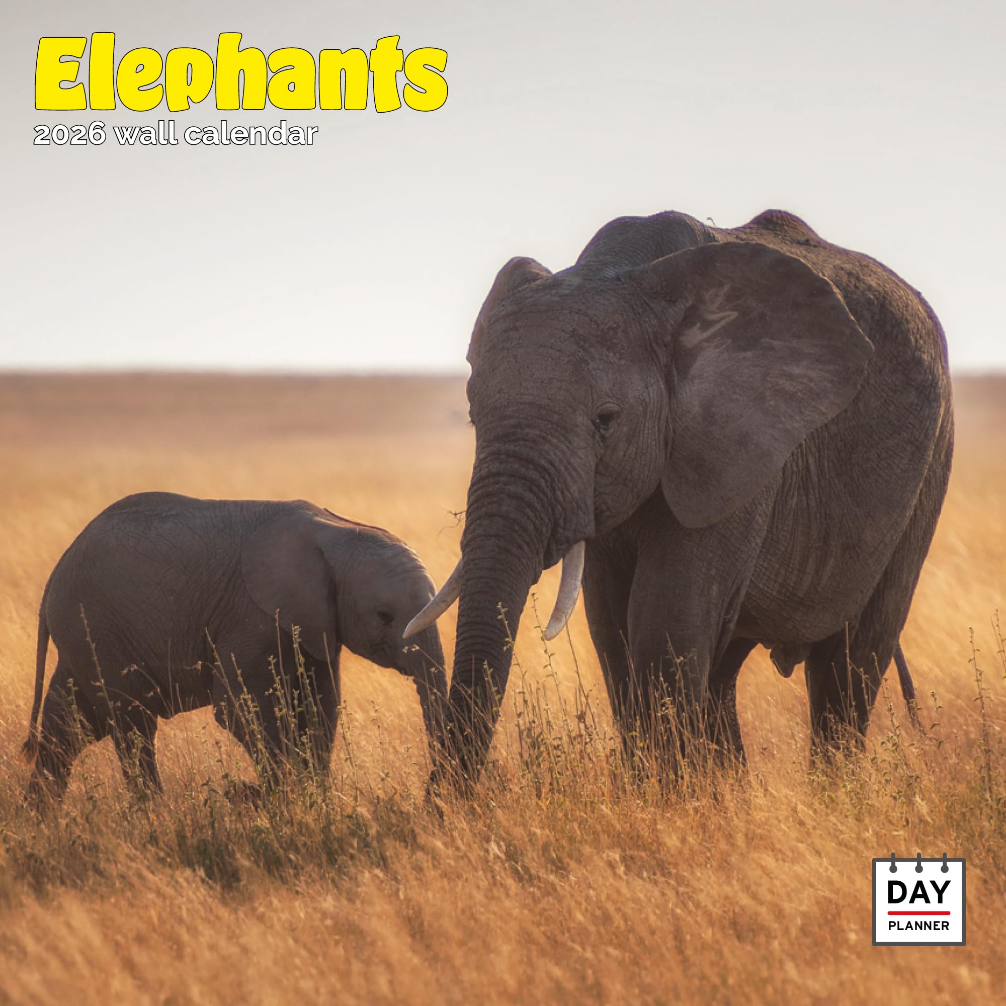 Elephants Calendar 2026