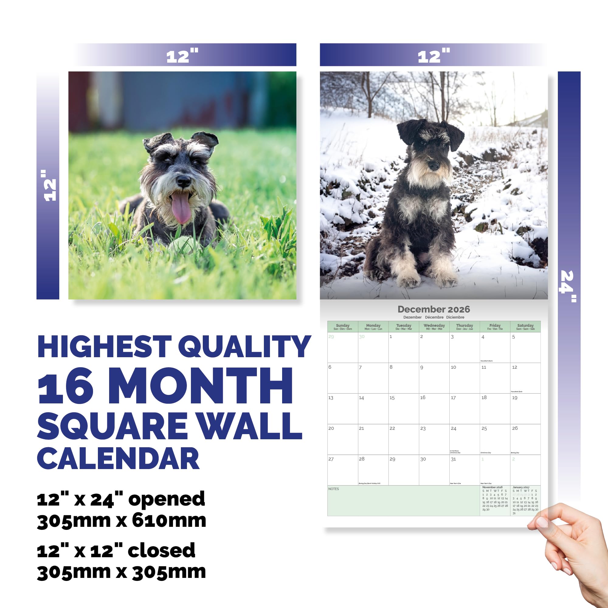 Miniature Schnauzer Calendar 2026