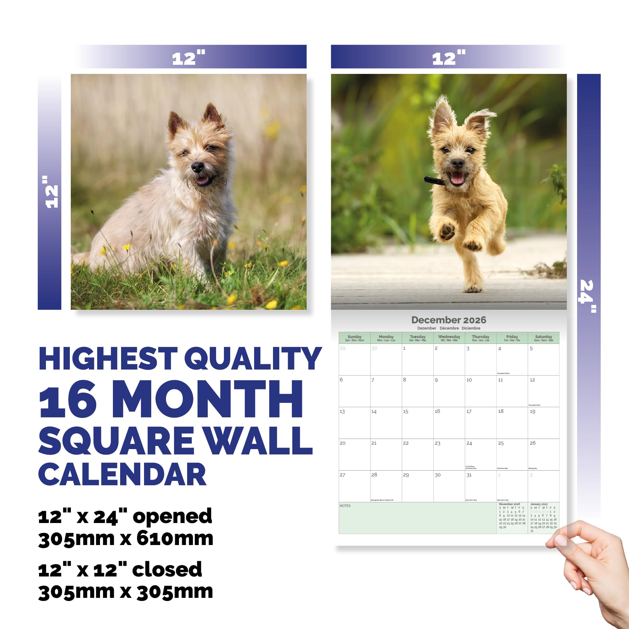 Cairn Terrier Calendar 2026