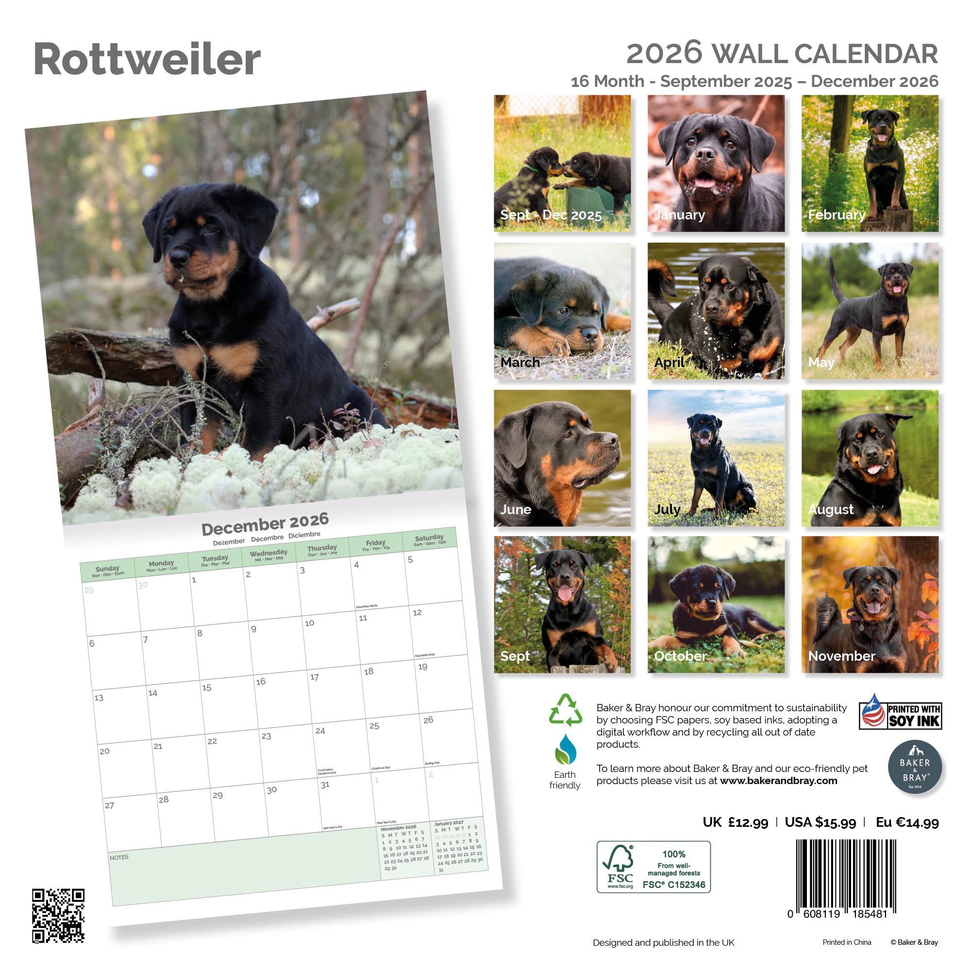 Rottweiler Calendar 2026