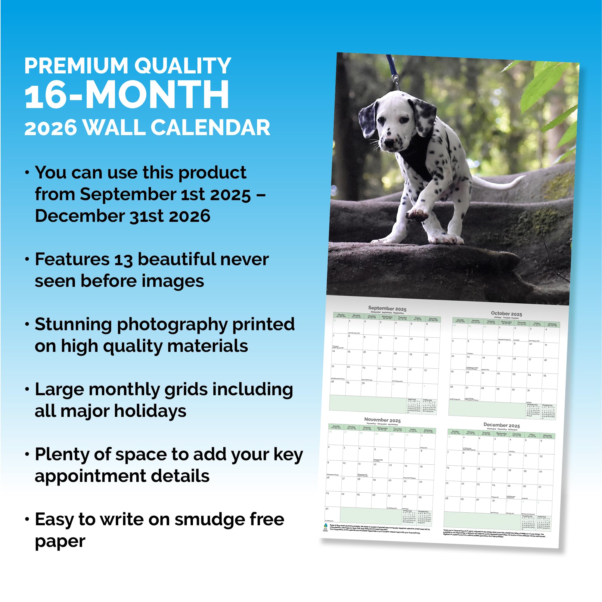 Dalmatian Calendar 2026