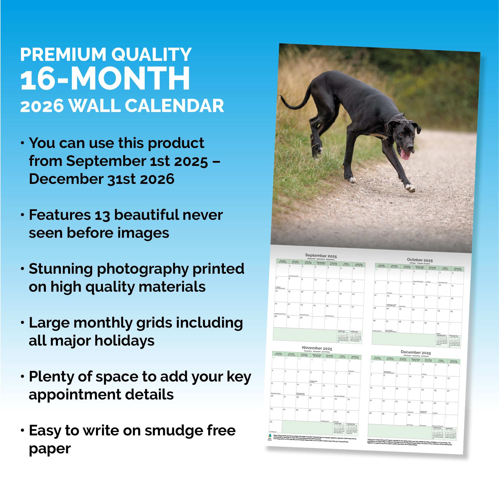 Great Dane Calendar 2026