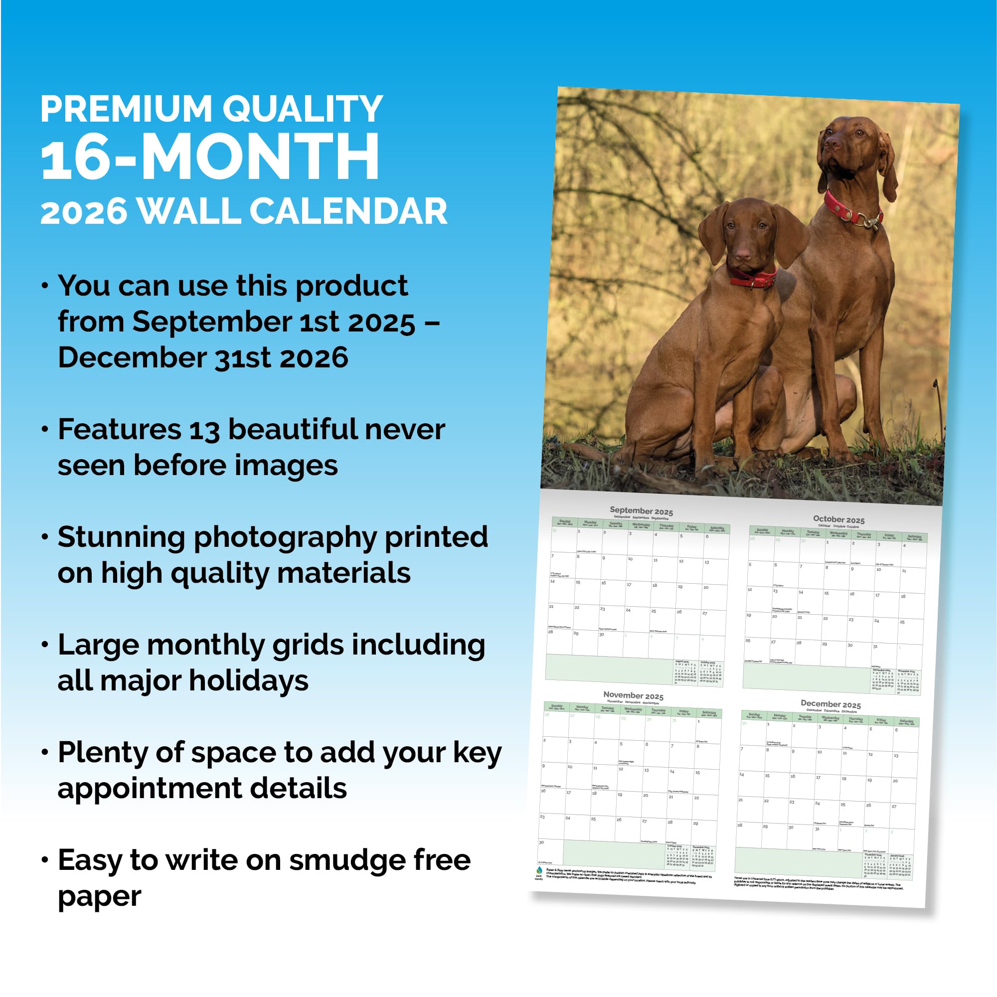 Vizsla Calendar 2026