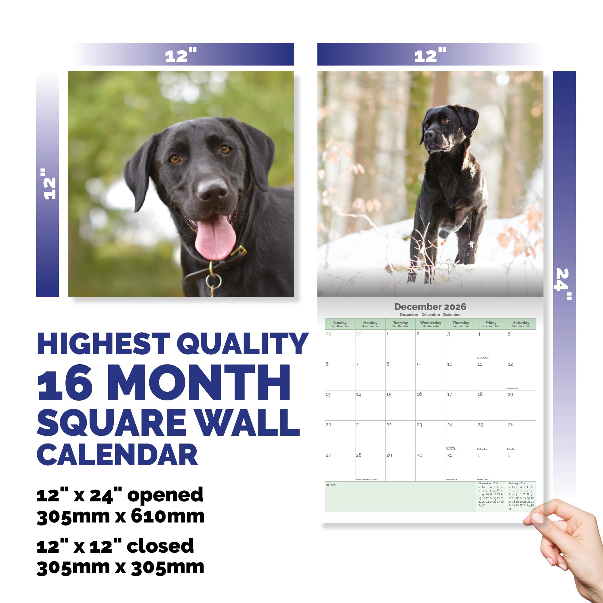 Black Labrador Calendar 2026