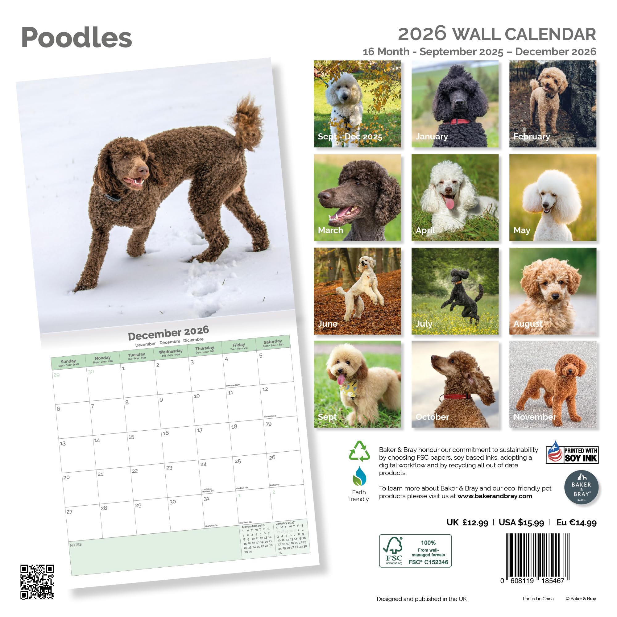 Poodle Calendar 2026