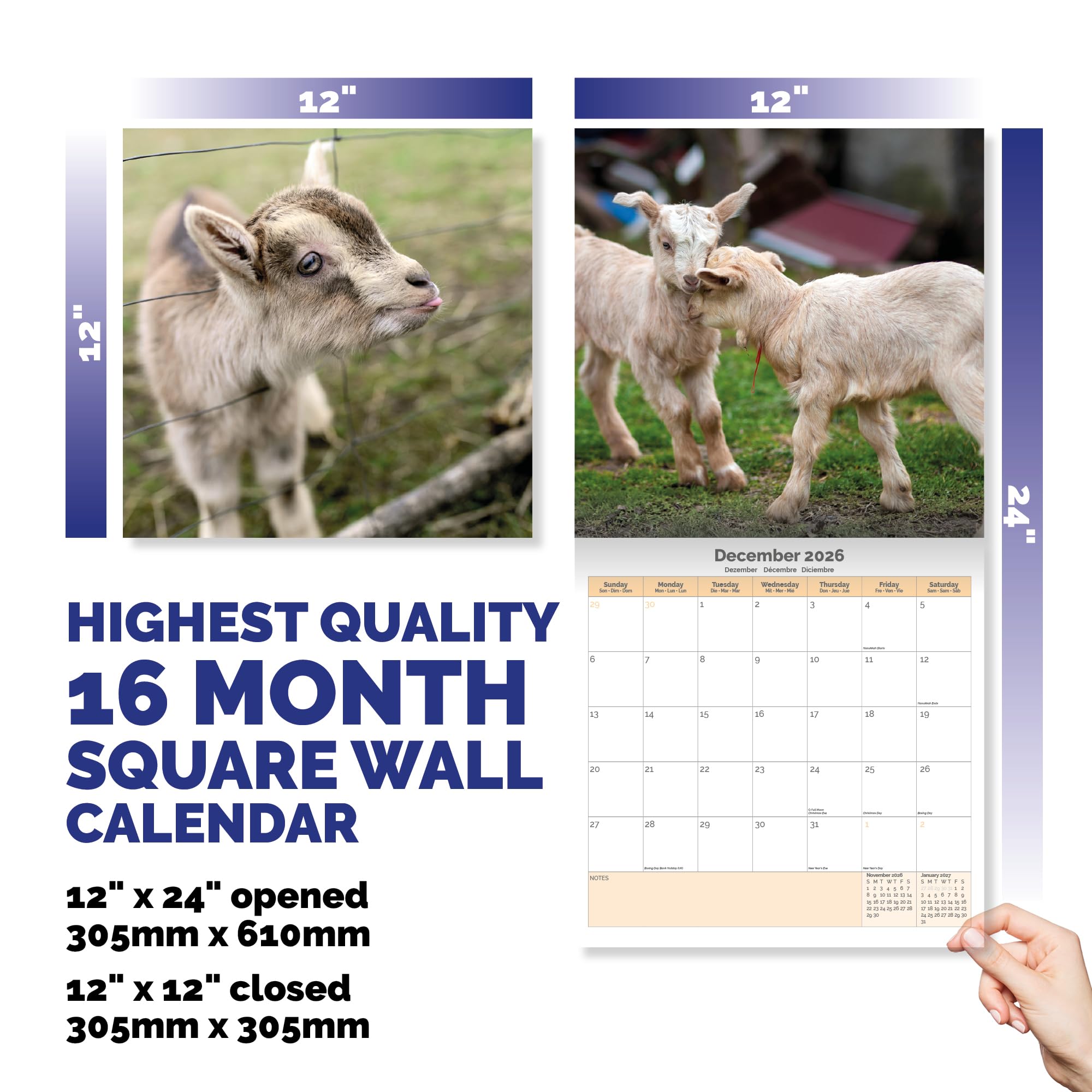 Baby Goats Calendar 2026