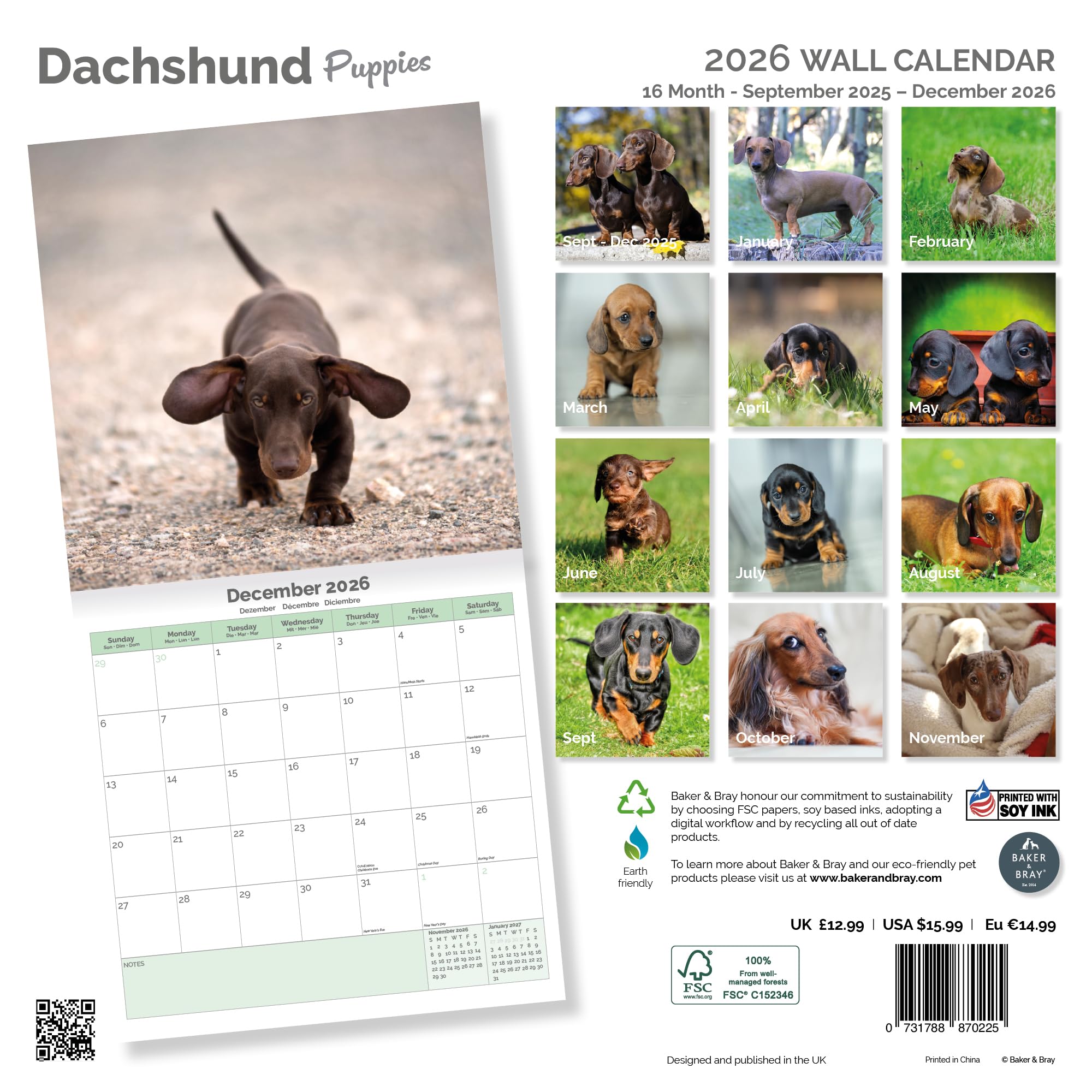 Dachshund Puppies Calendar 2026