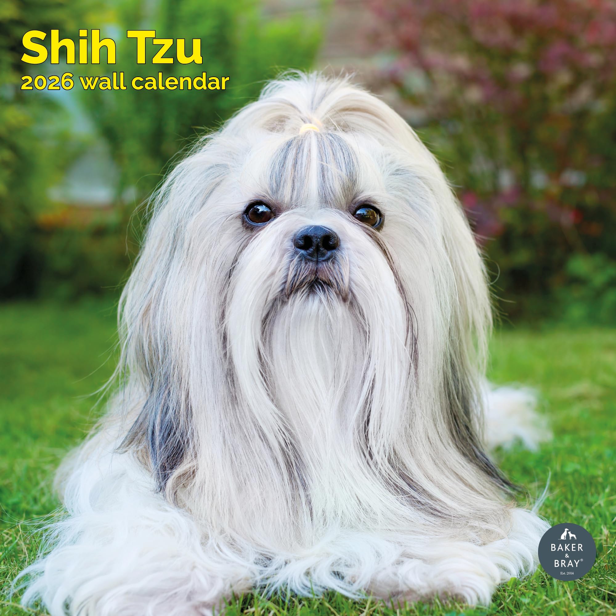 Shih Tzu Calendar 2026
