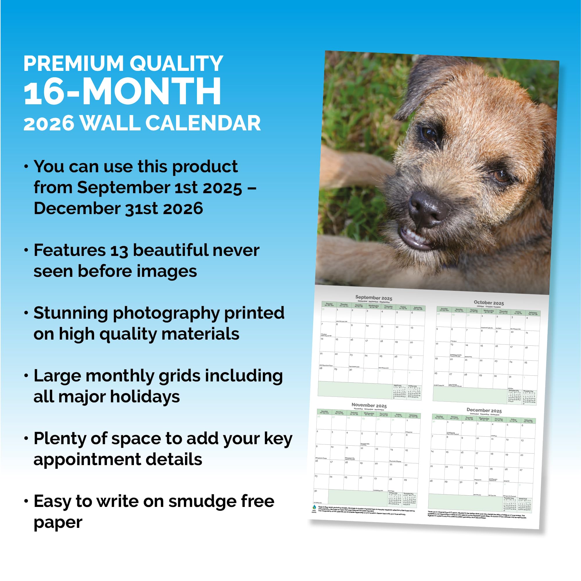 Border Terrier Calendar 2026