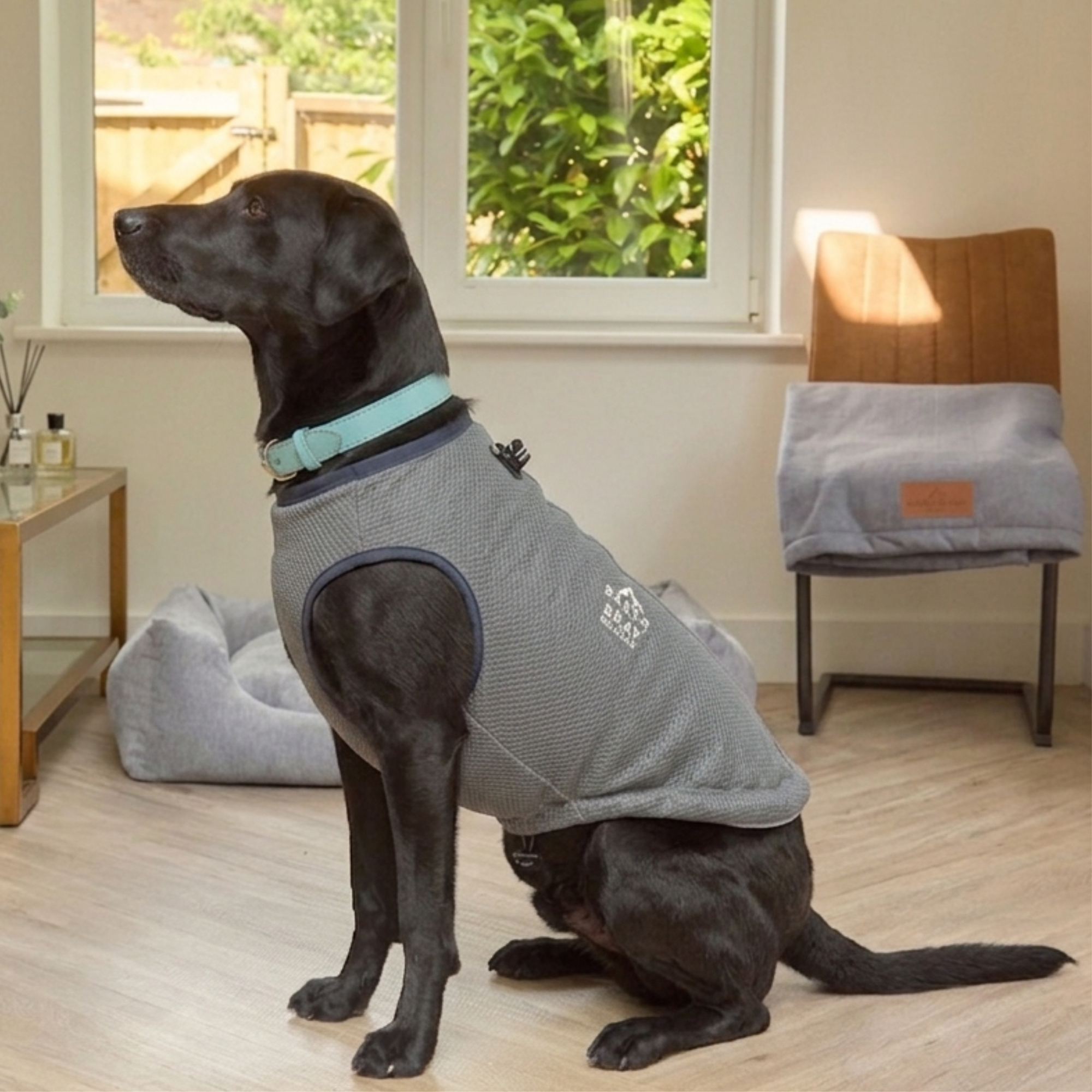 Breathable Cooling Dog Vest