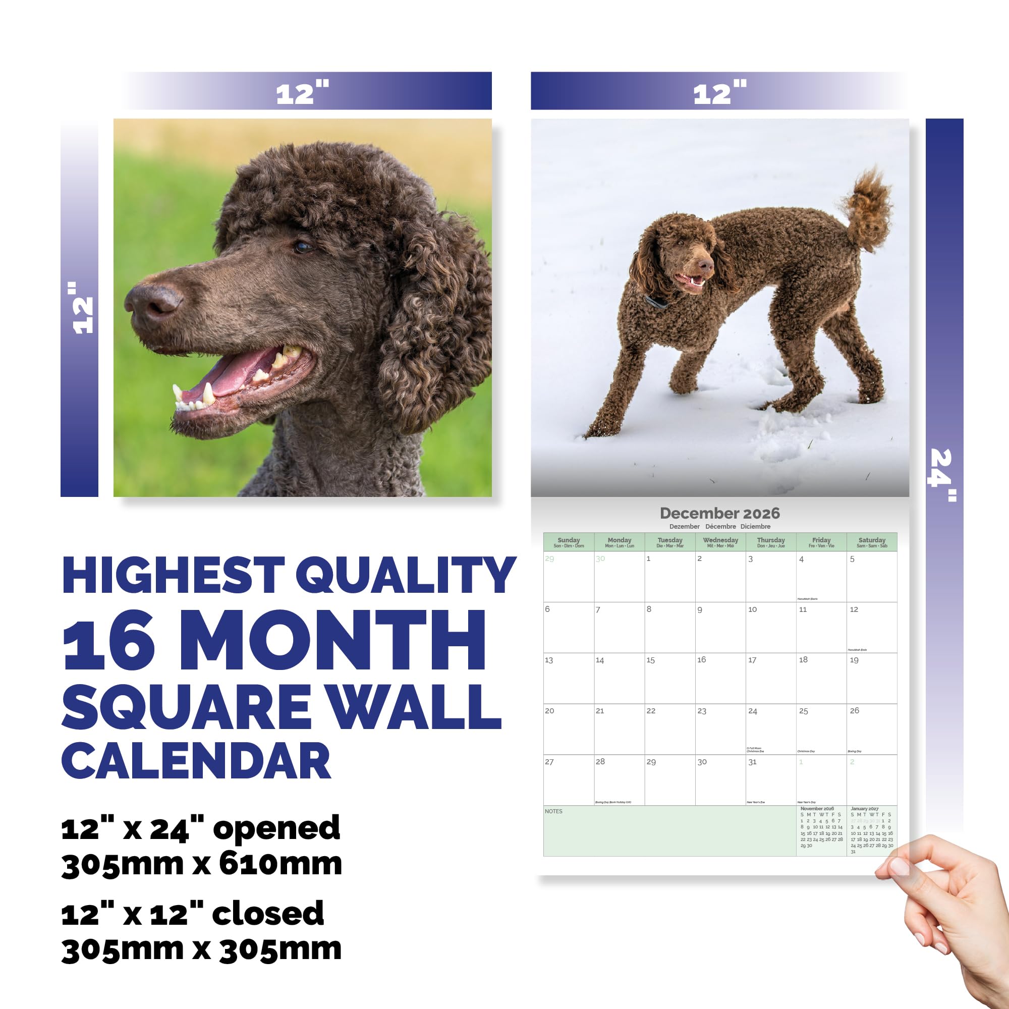 Poodle Calendar 2026