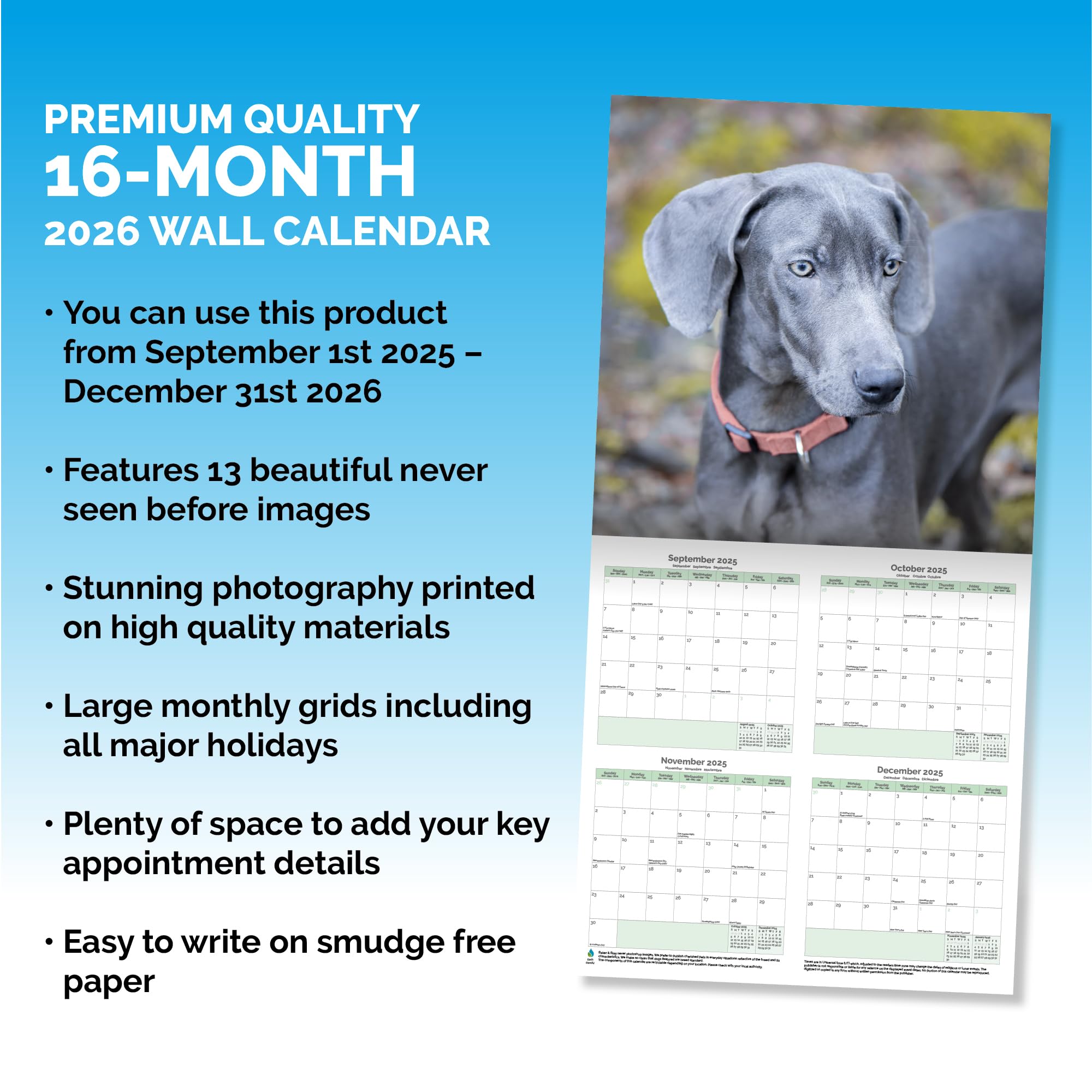 Weimaraner Calendar 2026