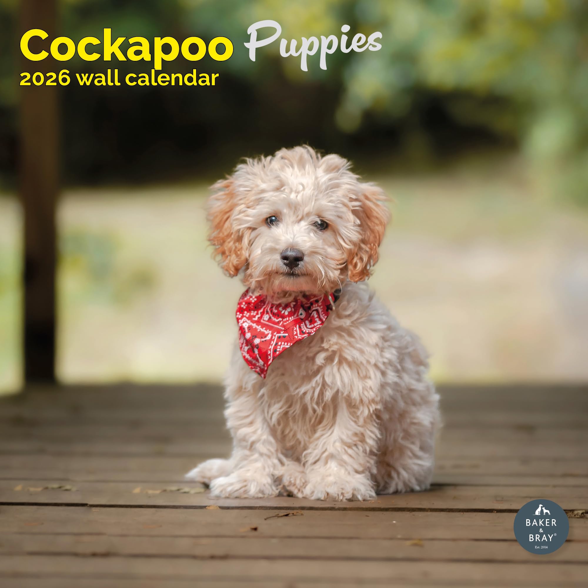 Cockapoo Puppies Calendar 2026