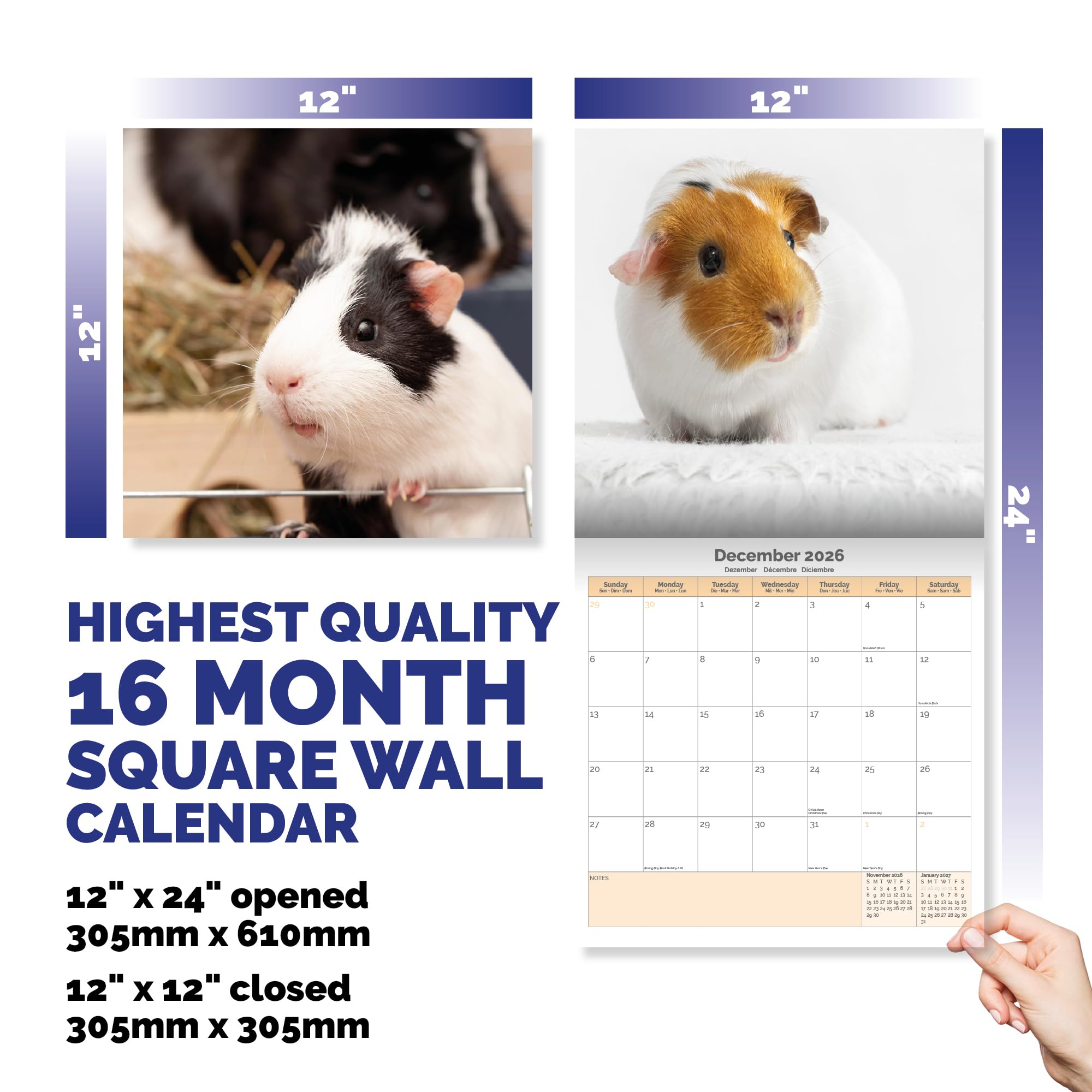 Guinea Pig Calendar 2026