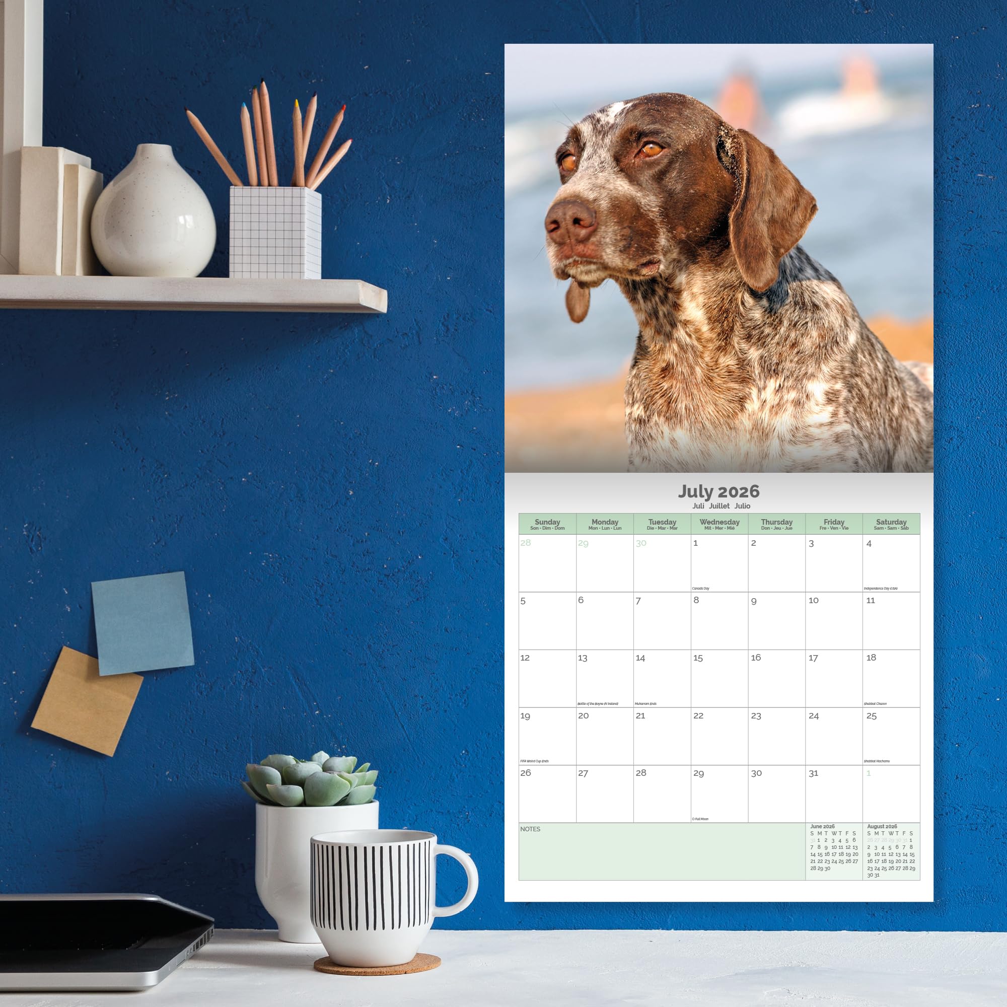 German Shorthaired Pointer Calendar 2026