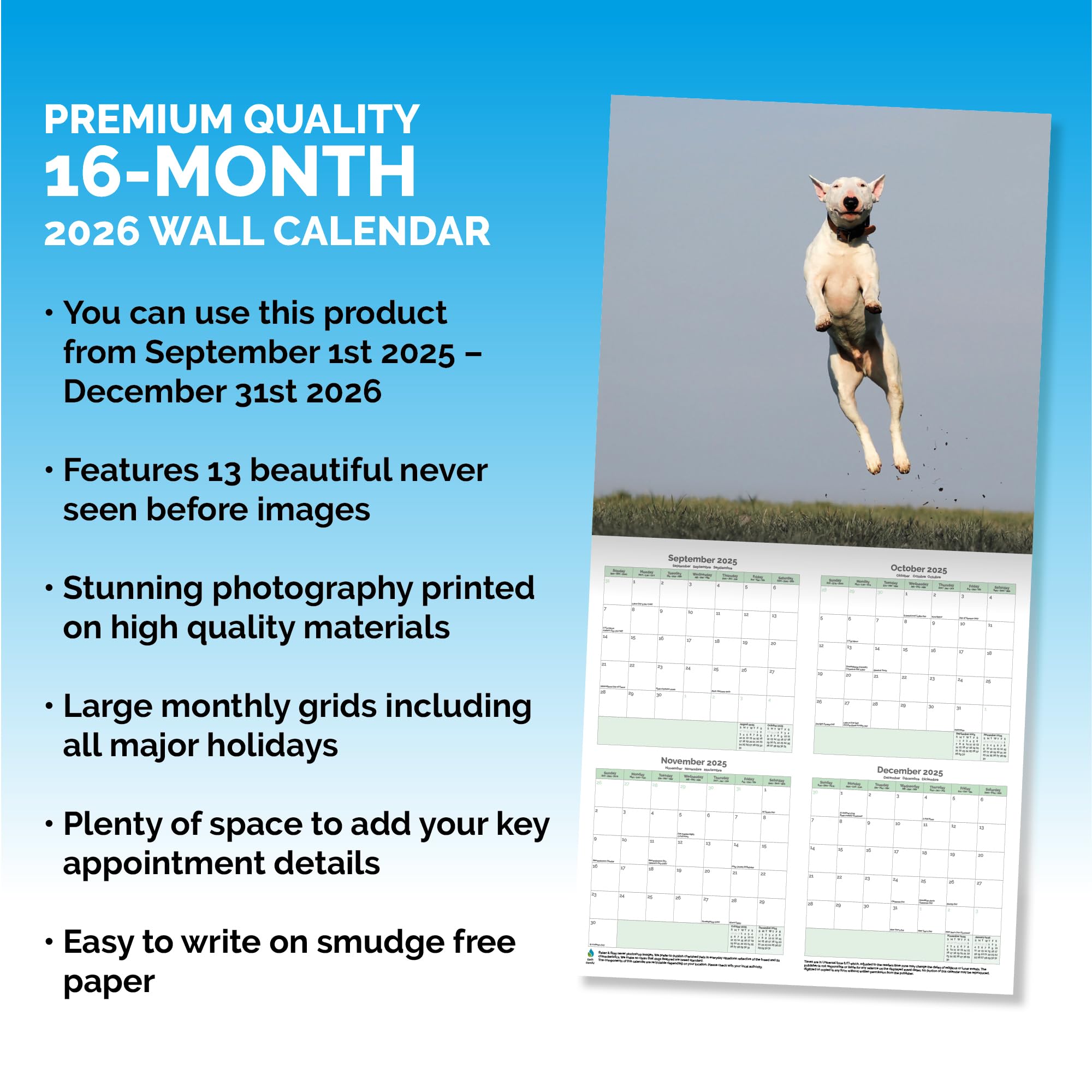 Bull Terrier Calendar 2026