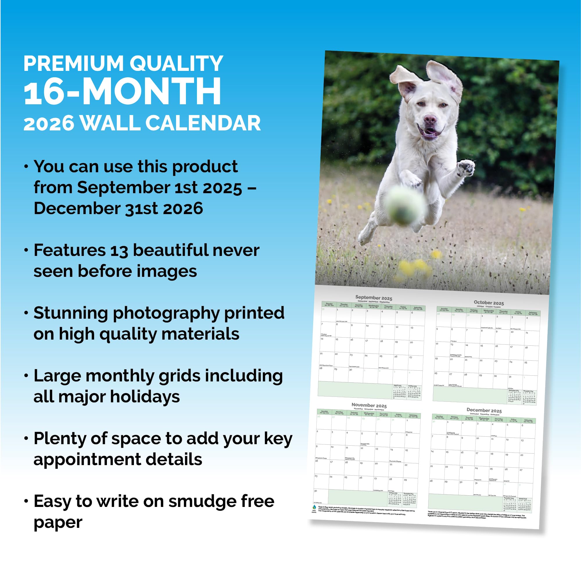 Yellow Labrador Calendar 2026