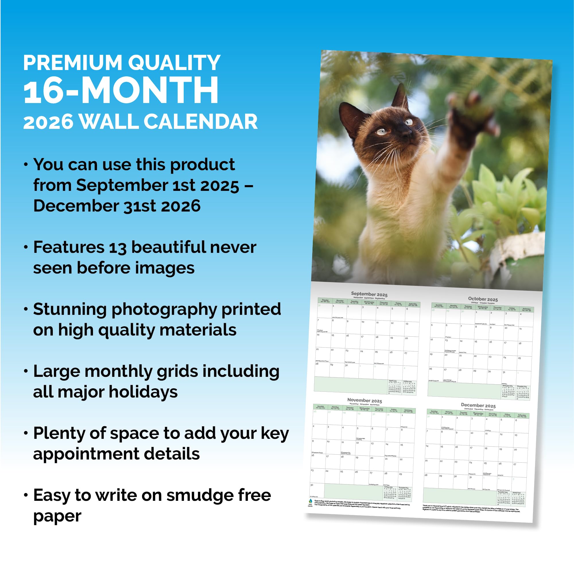 Siamese Cats Calendar 2026