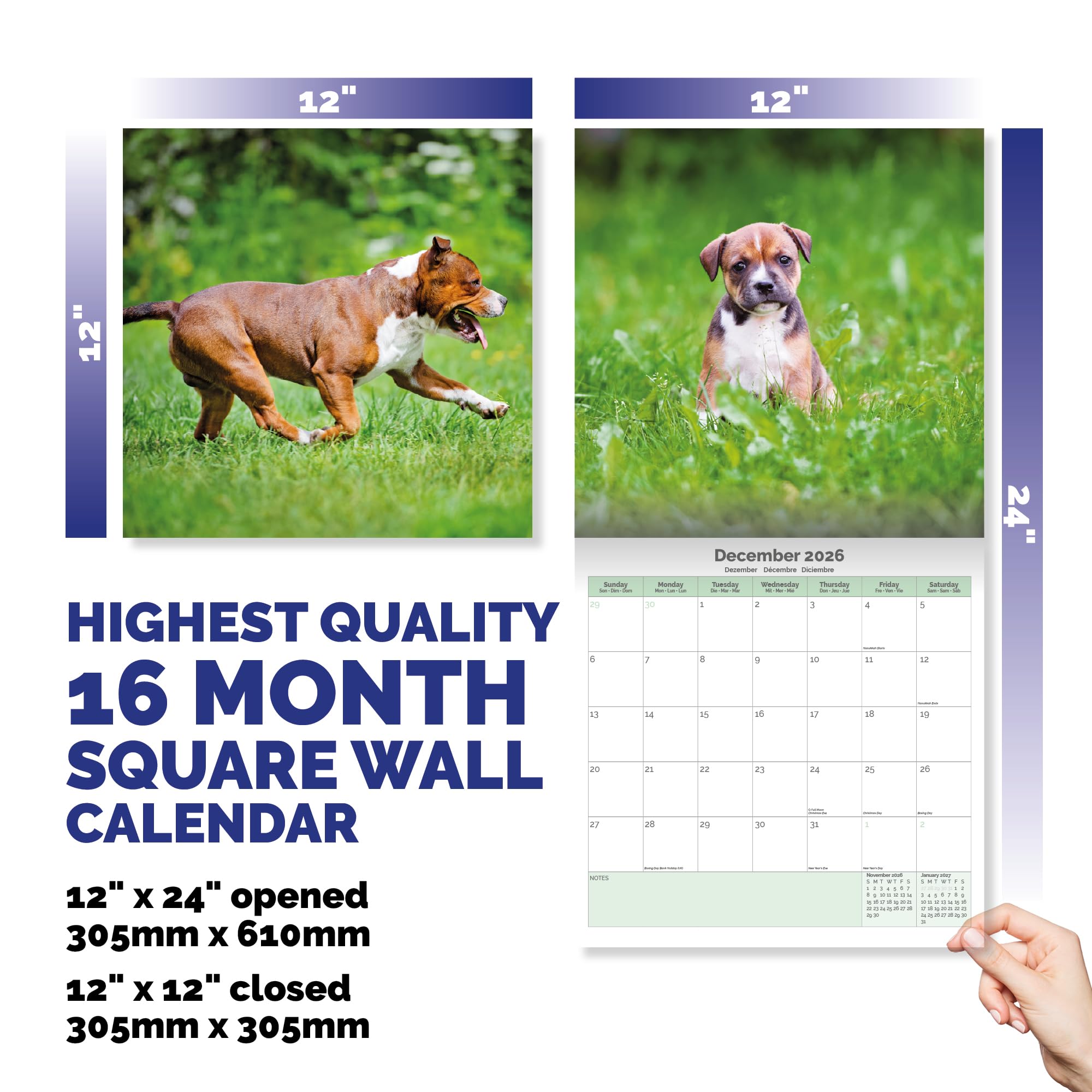 Staffordshire Bull Terrier Puppies Calendar 2026