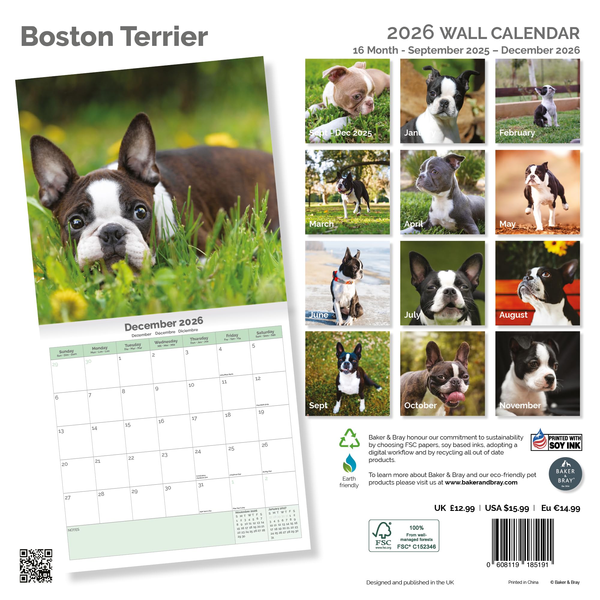 Boston Terrier Calendar 2026
