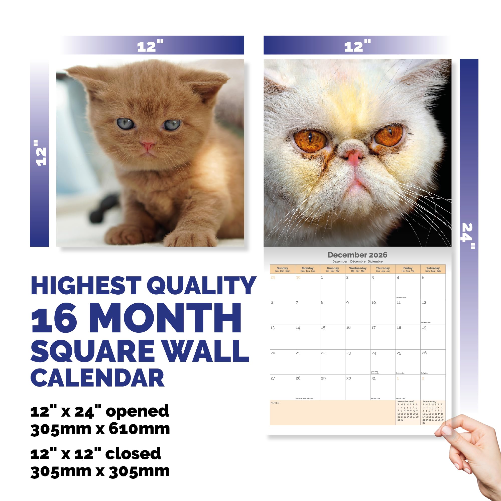 Grumpy Cats Calendar 2026