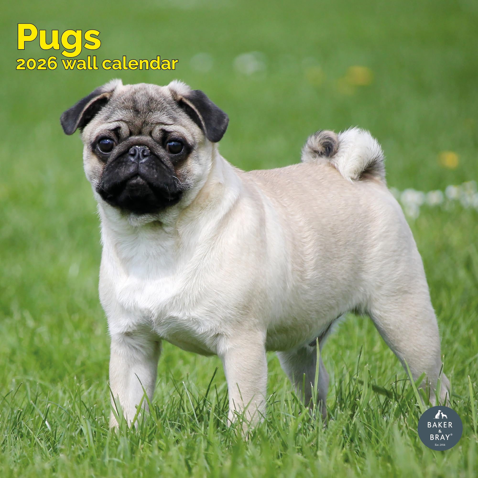 Pug Calendar 2026