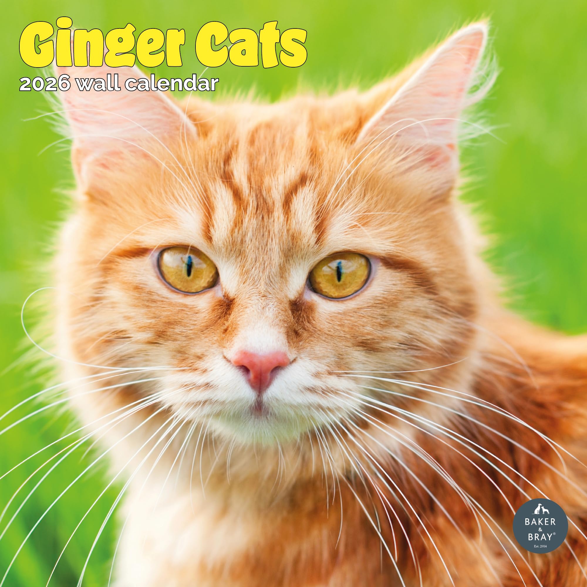 Ginger Cats Calendar 2026
