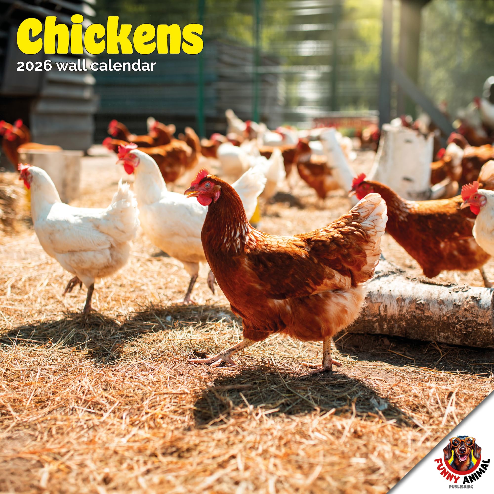 Chickens Calendar 2026