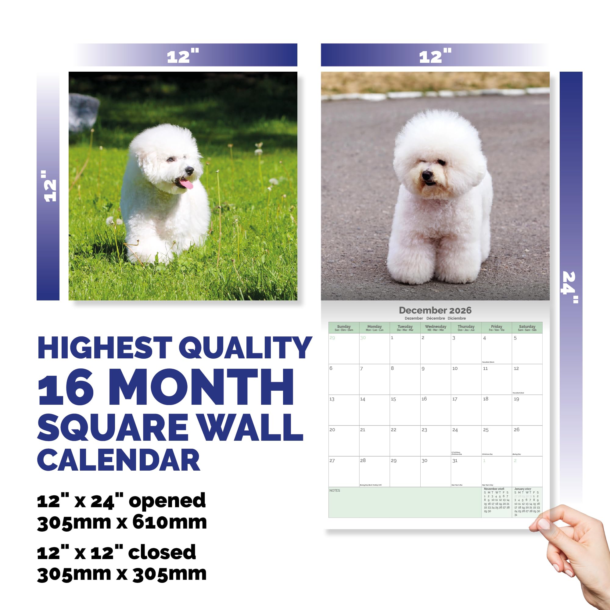 Bichon Frise Calendar 2026