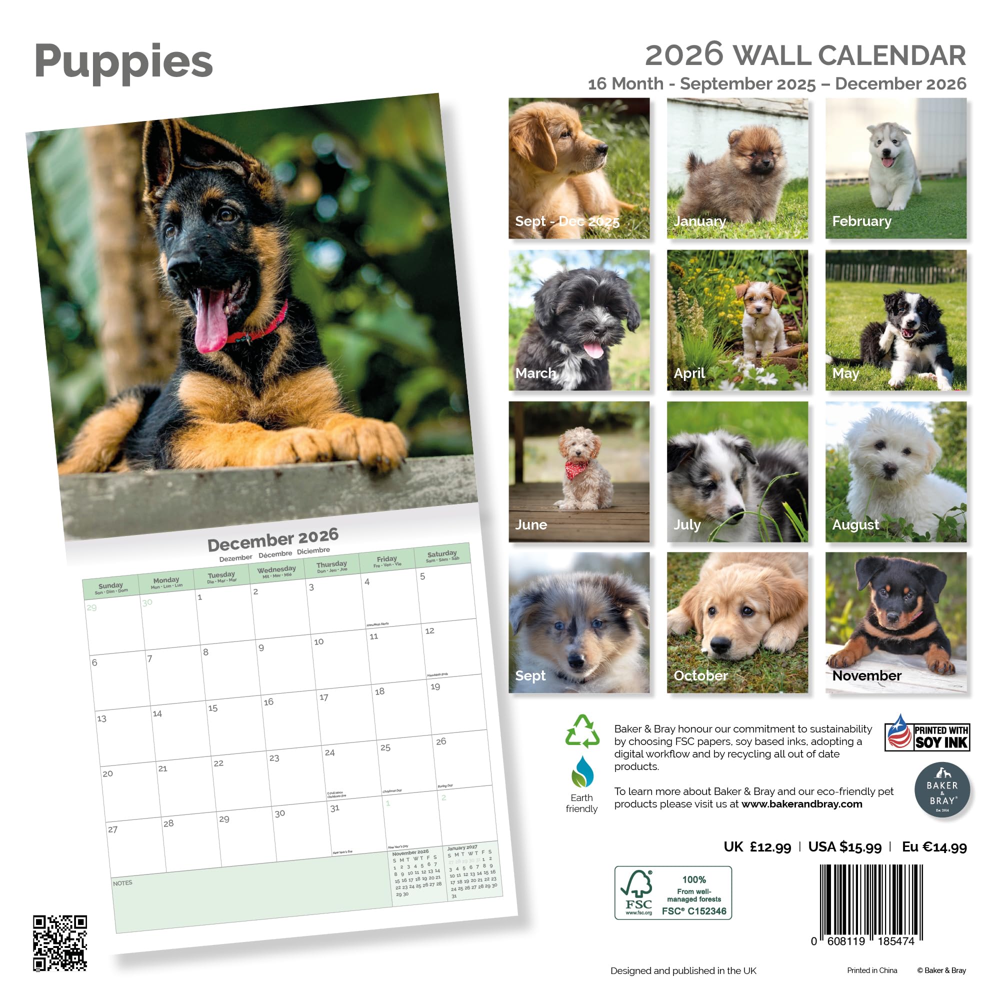 Puppies Calendar 2026