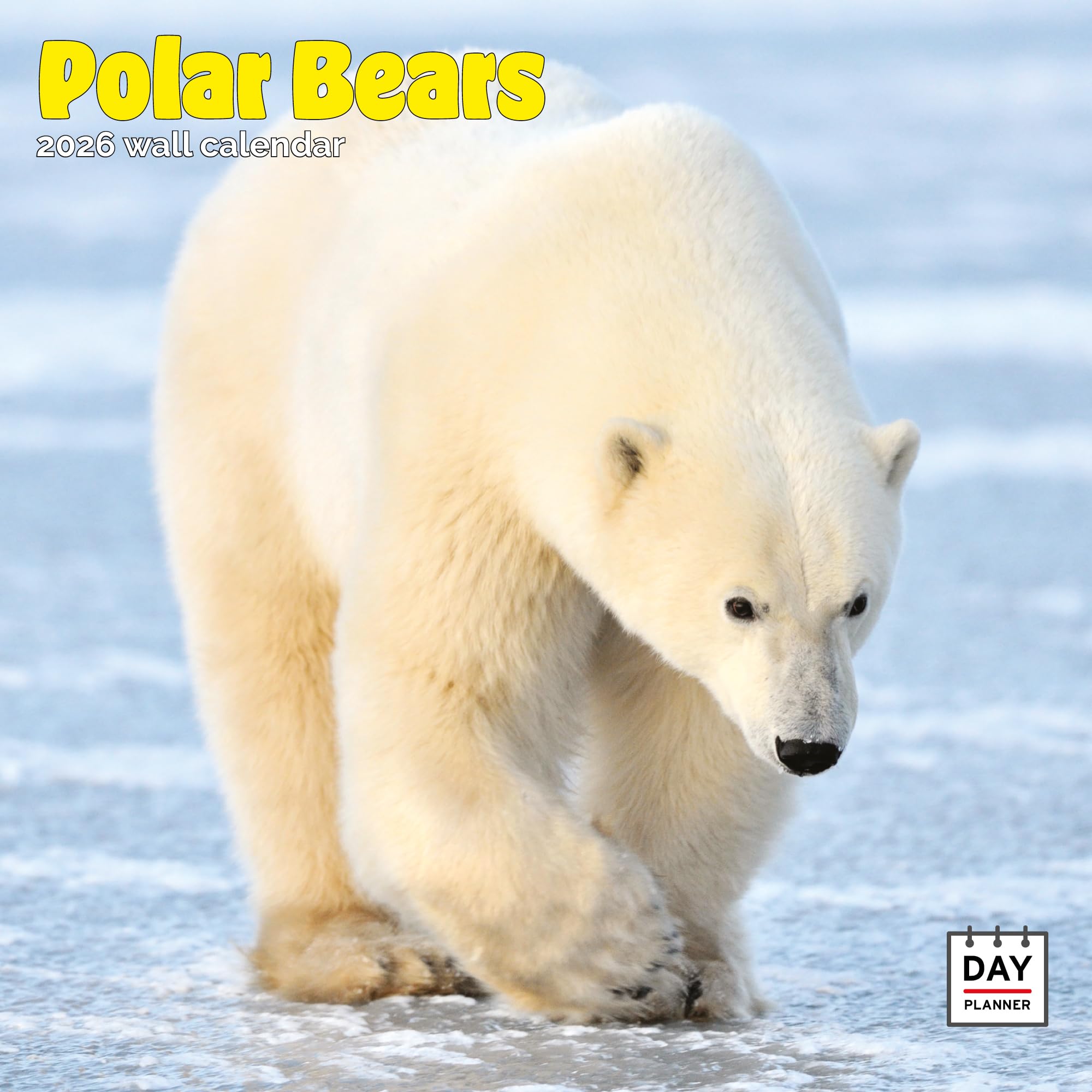 Polar Bears Calendar 2026