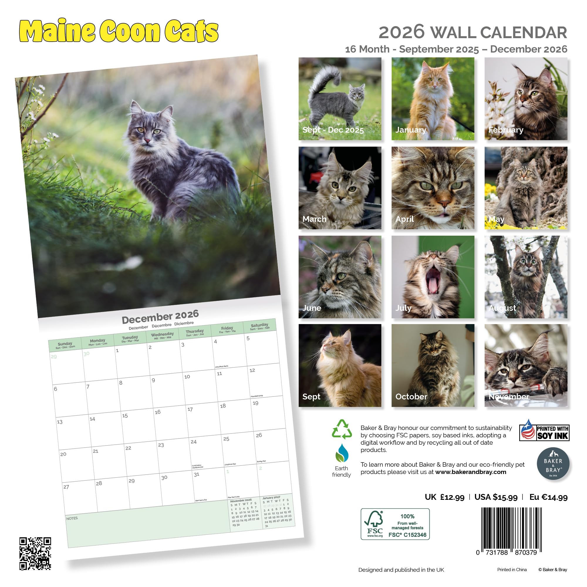 Maine Coon Cats Calendar 2026