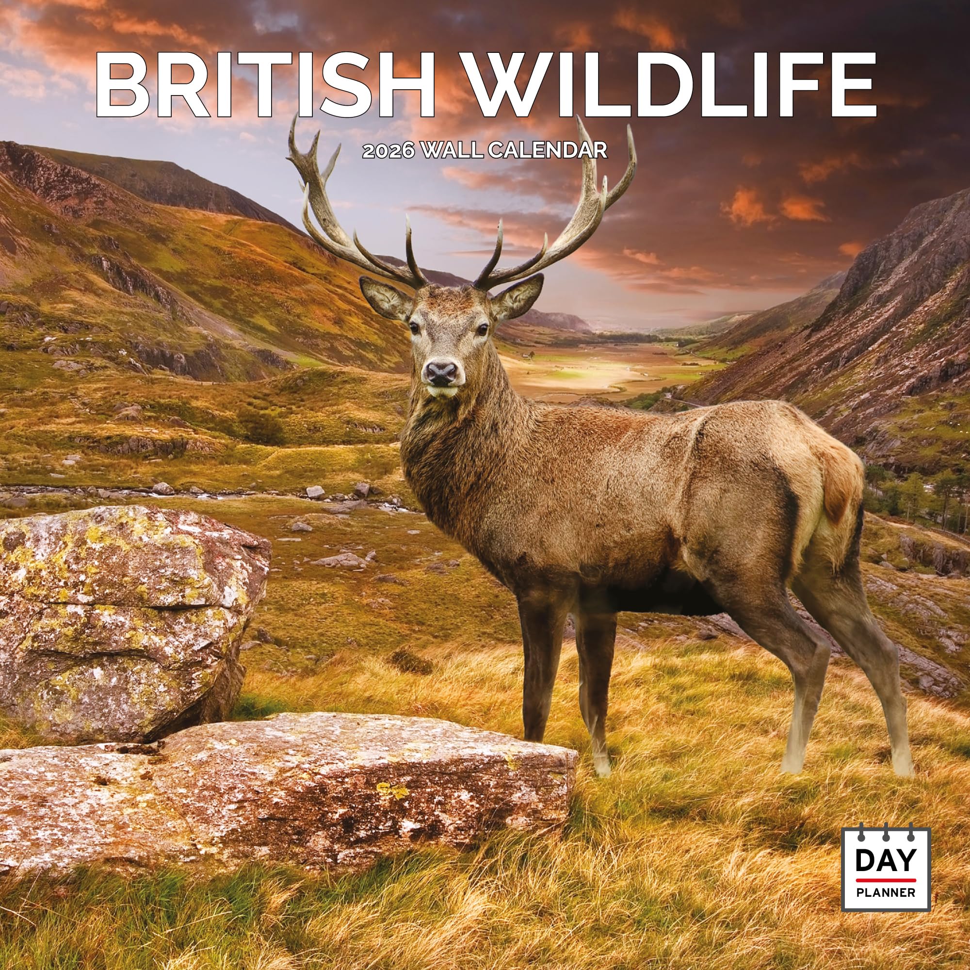 British Wildlife Calendar 2026