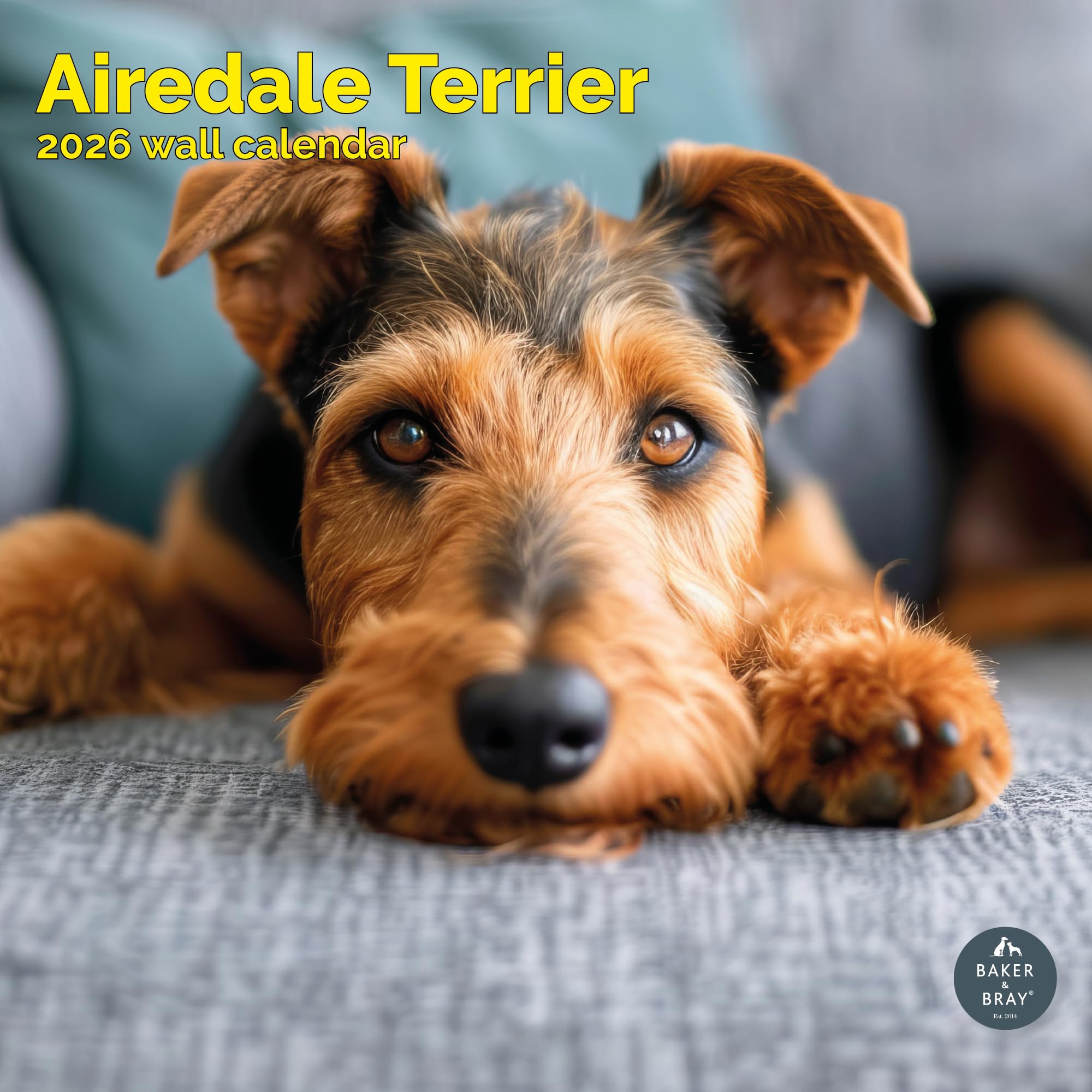 Airedale Terrier Calendar 2026