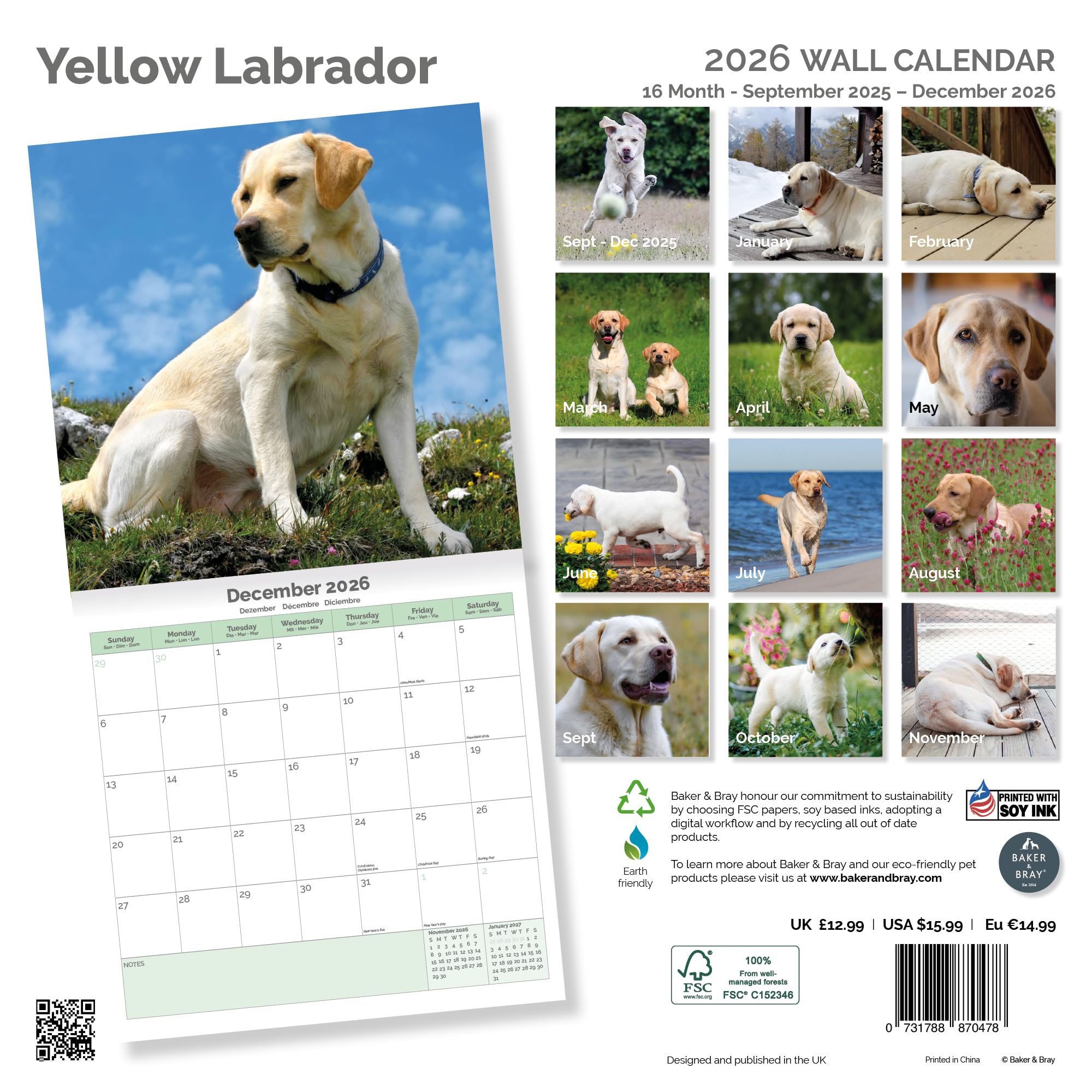 Yellow Labrador Calendar 2026