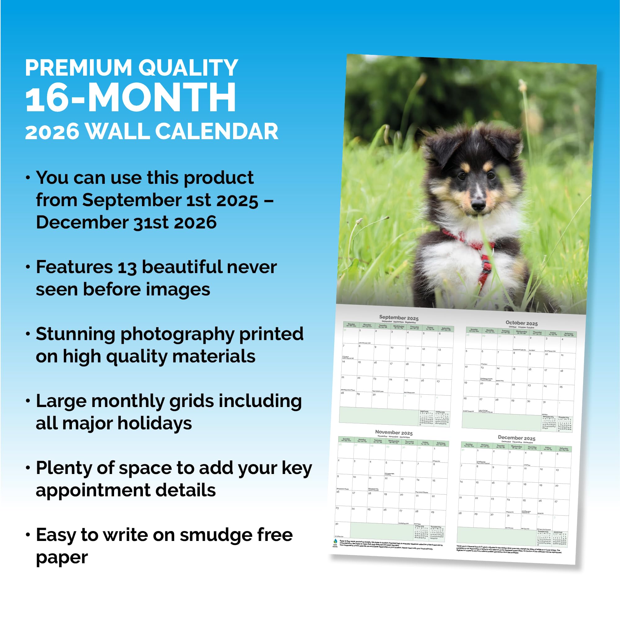 Shetland Sheepdog Calendar 2026