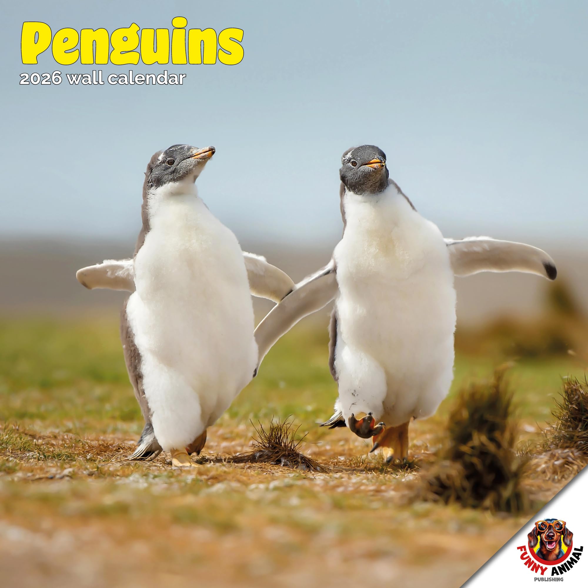 Penguins Calendar 2026