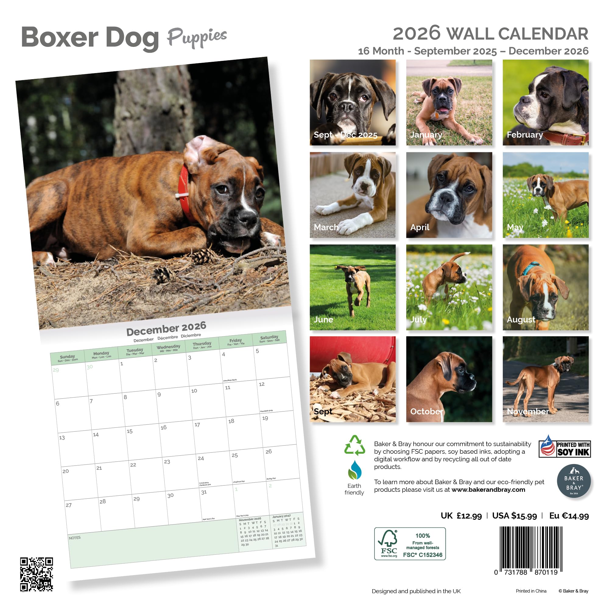 Boxer Dog Puppies Calendar 2026