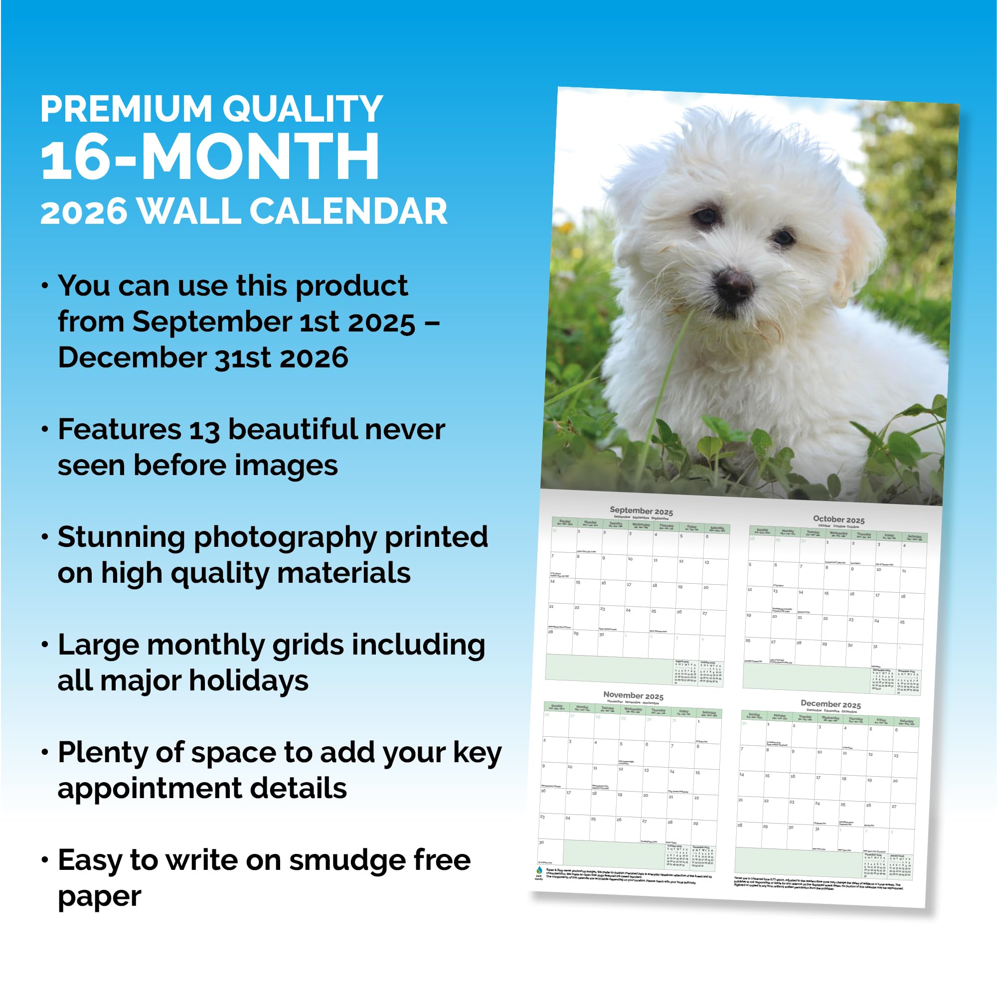 Cockapoo Puppies Calendar 2026