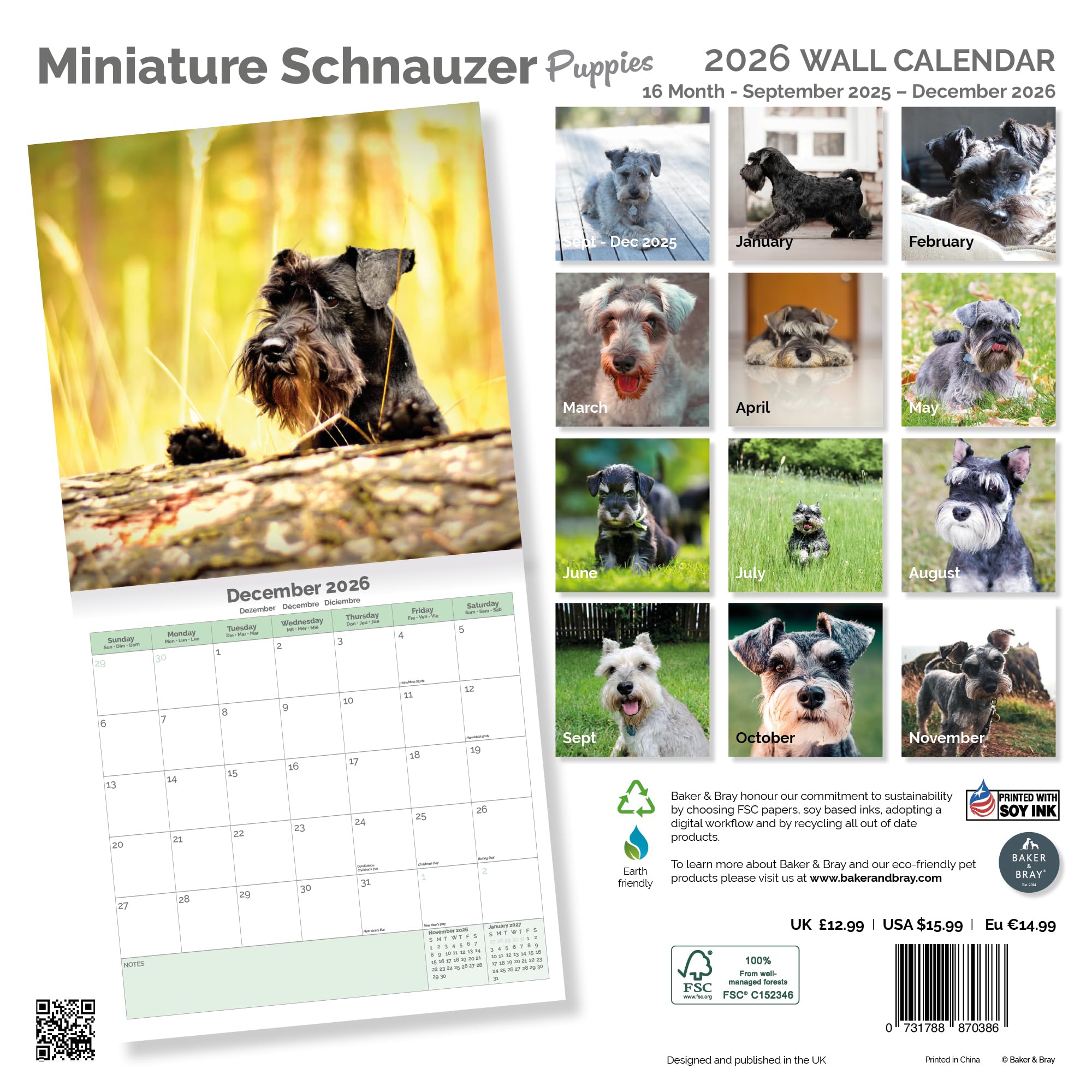 Miniature Schnauzer Puppies Calendar 2026