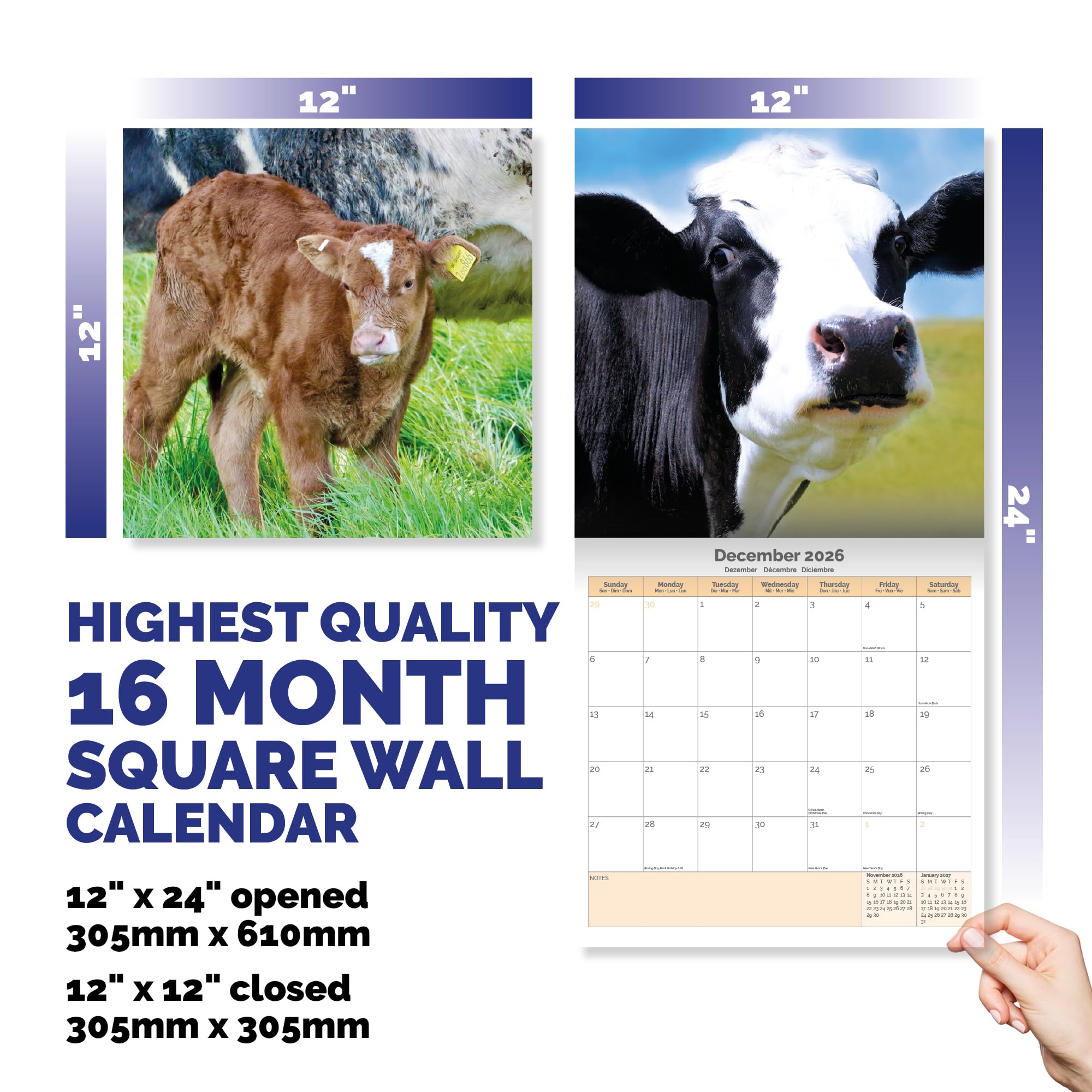 Cows Calendar 2026