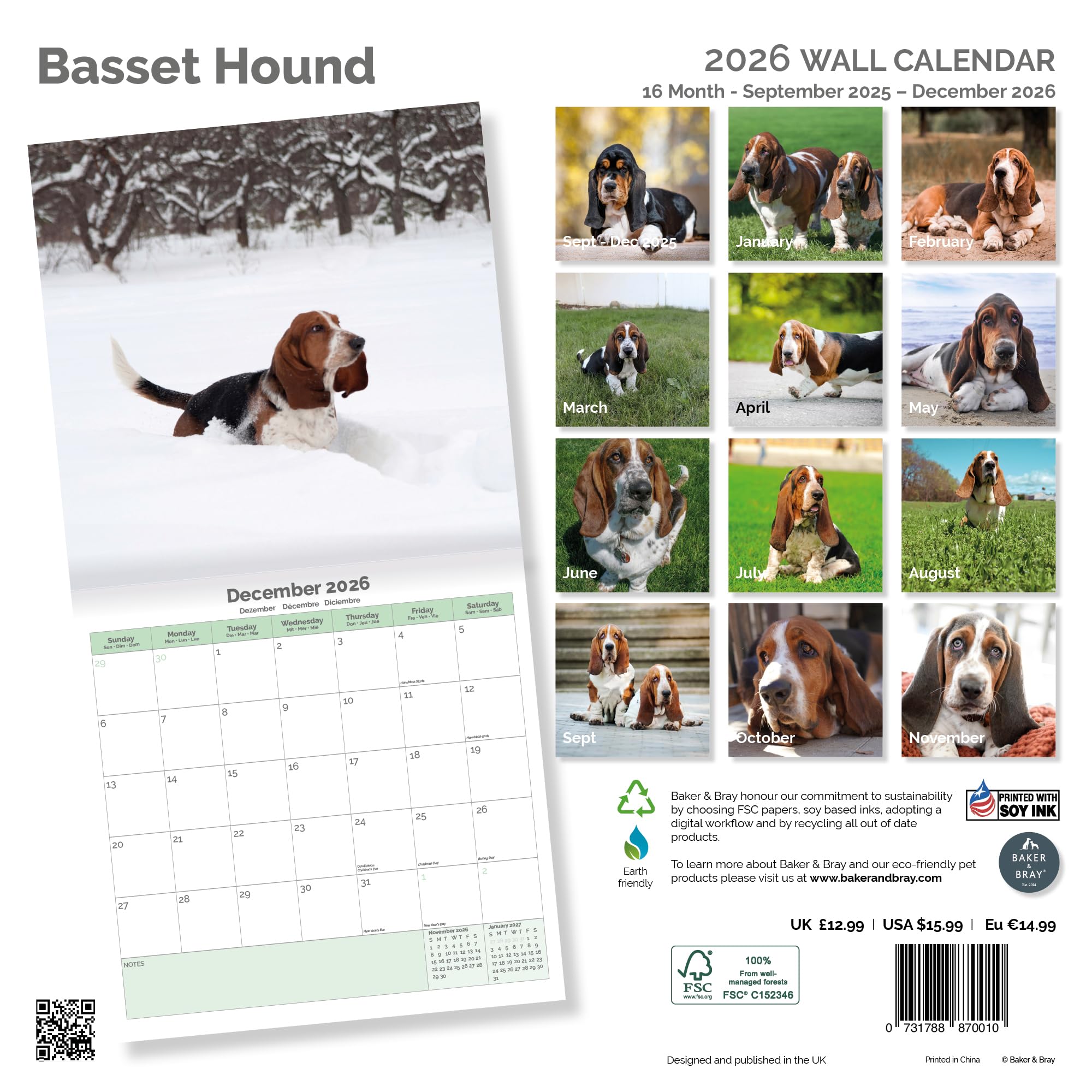 Basset Hound Calendar 2026